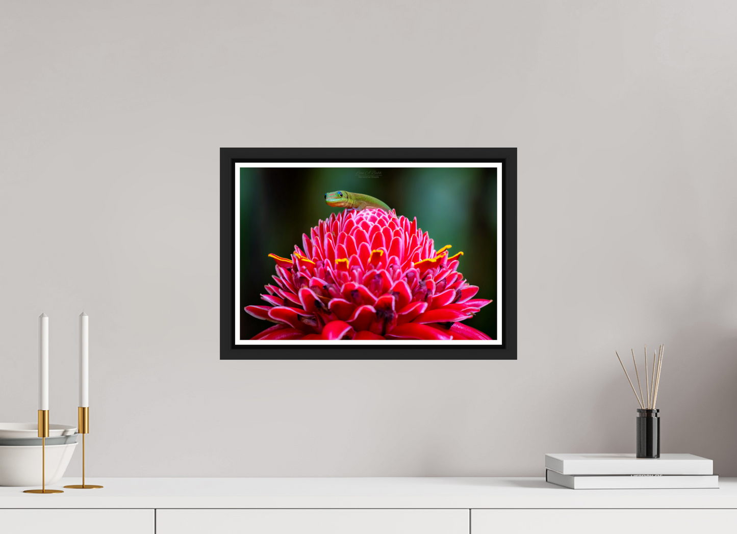 15 x 10″, Black Matte Floater Frame with Acrylic Glass (08F) Gecko on a flower