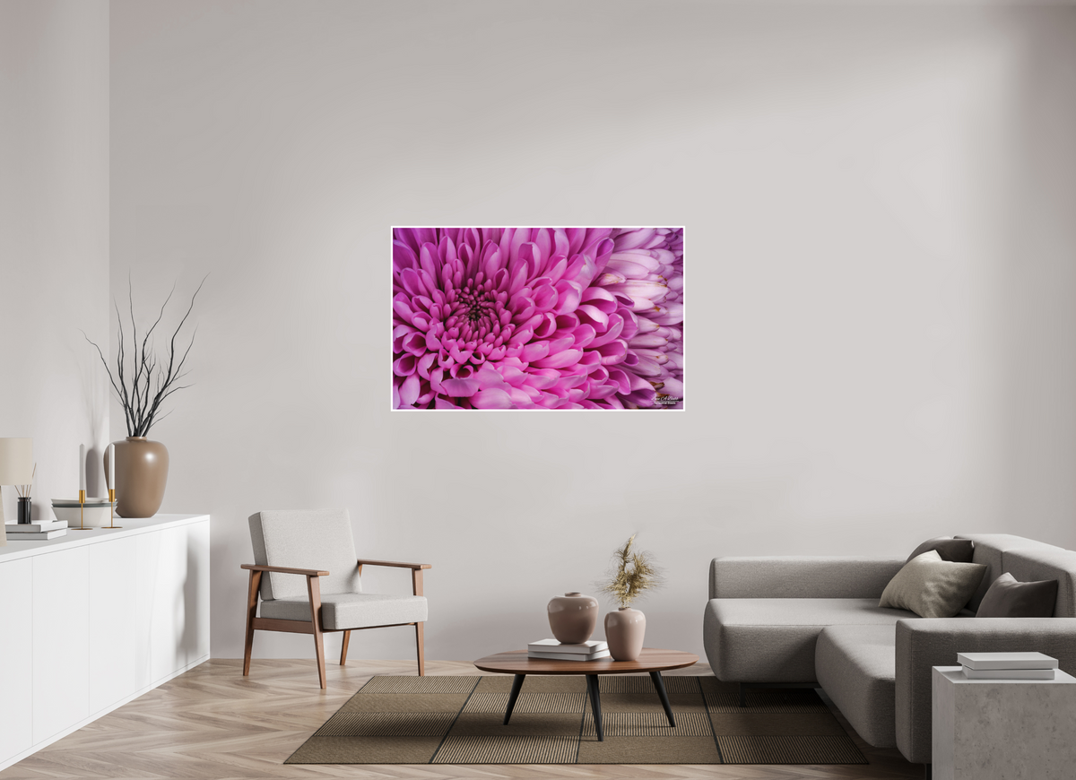 56 x 35″, Print with Matte Lamination ???