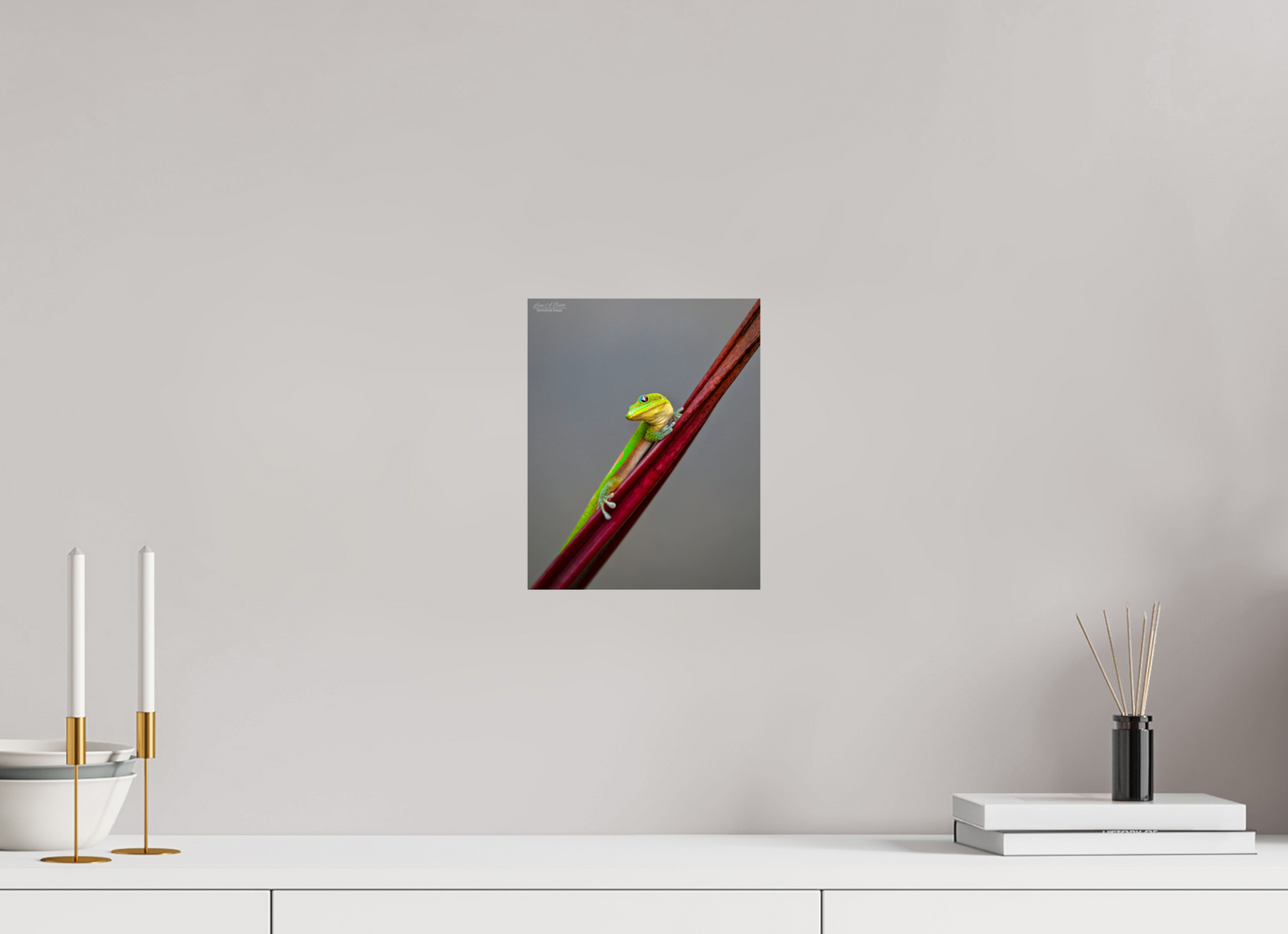 8 x 10″, Print with Aluminum Backing and Glossy Lamination (08R) Focused Stare