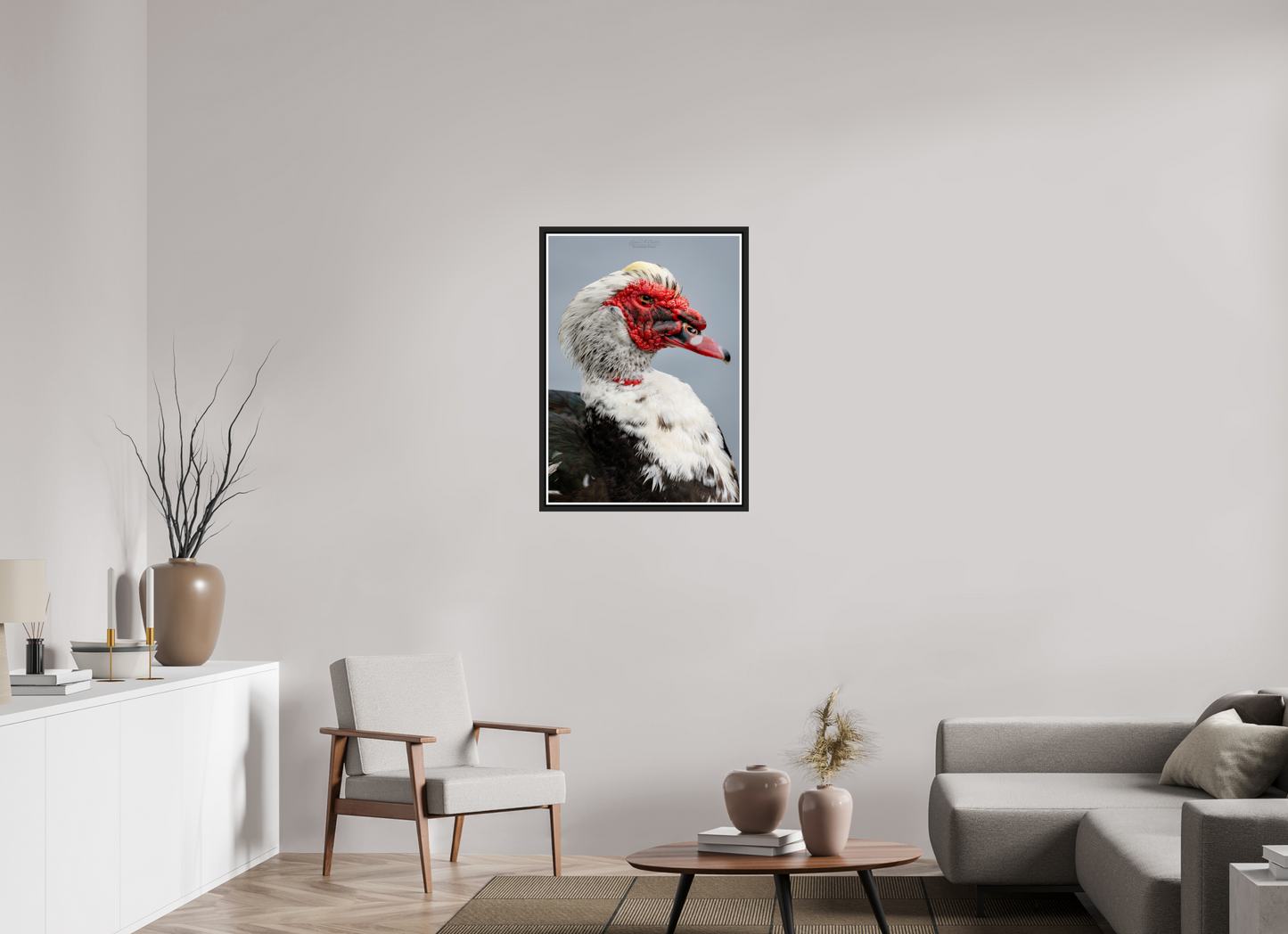 24 x 33.6″, Black Matte Floater Frame with Acrylic Glass (08S) Male Muscovy Duck Portrait