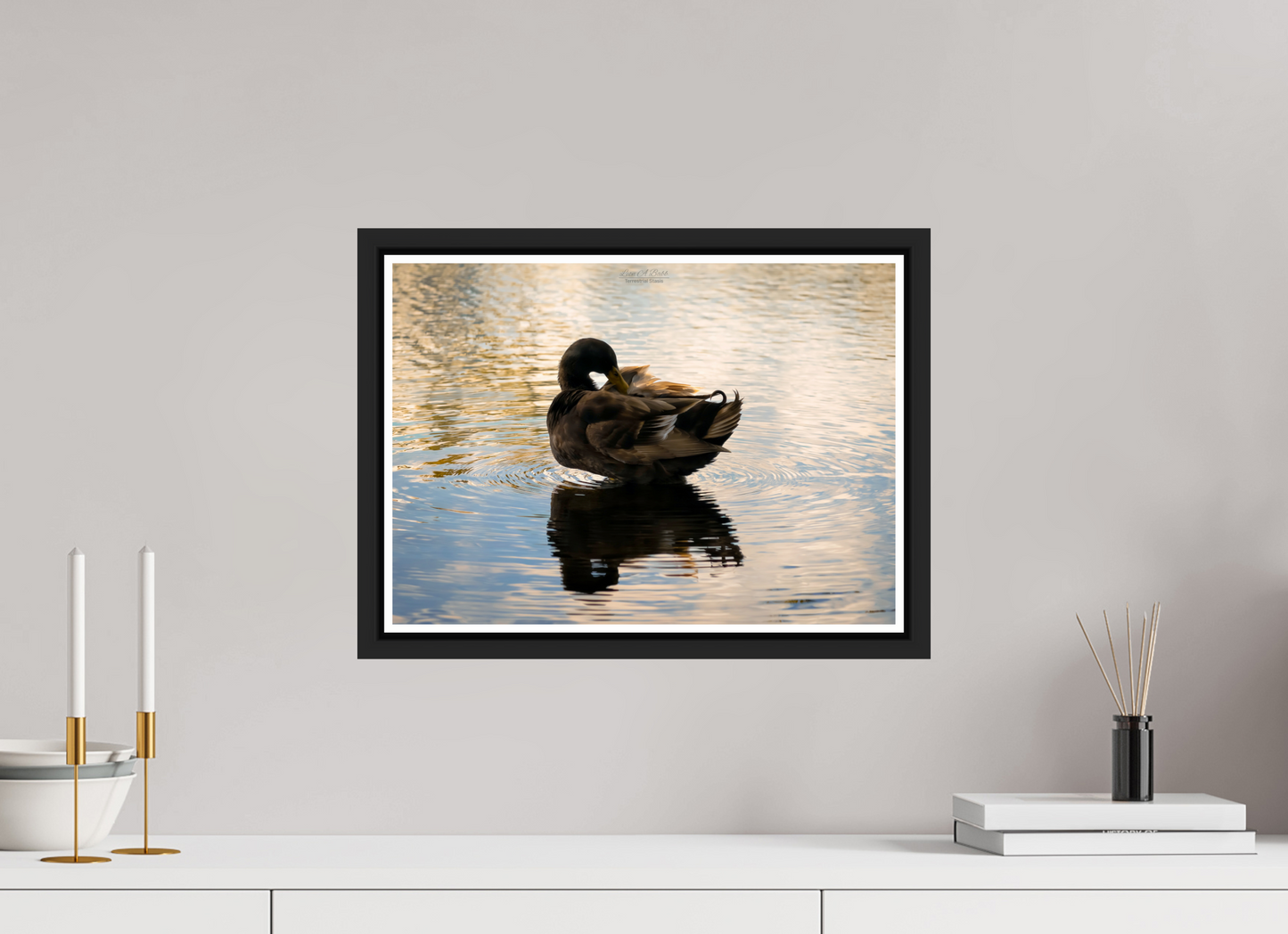 16.8 x 12″, Black Matte Floater Frame with Acrylic Glass (08C) Quiet Drift on Wailoa River
