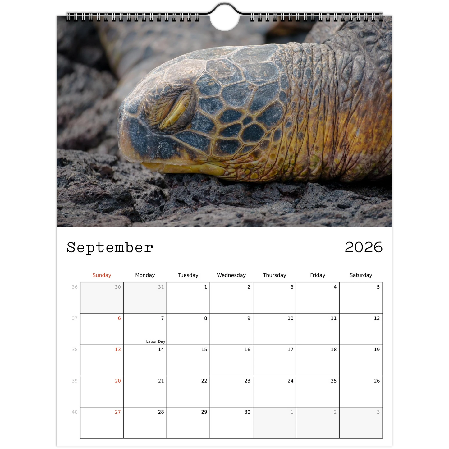 d92d3705-0827-42fb-ba69-b5775e844ee0