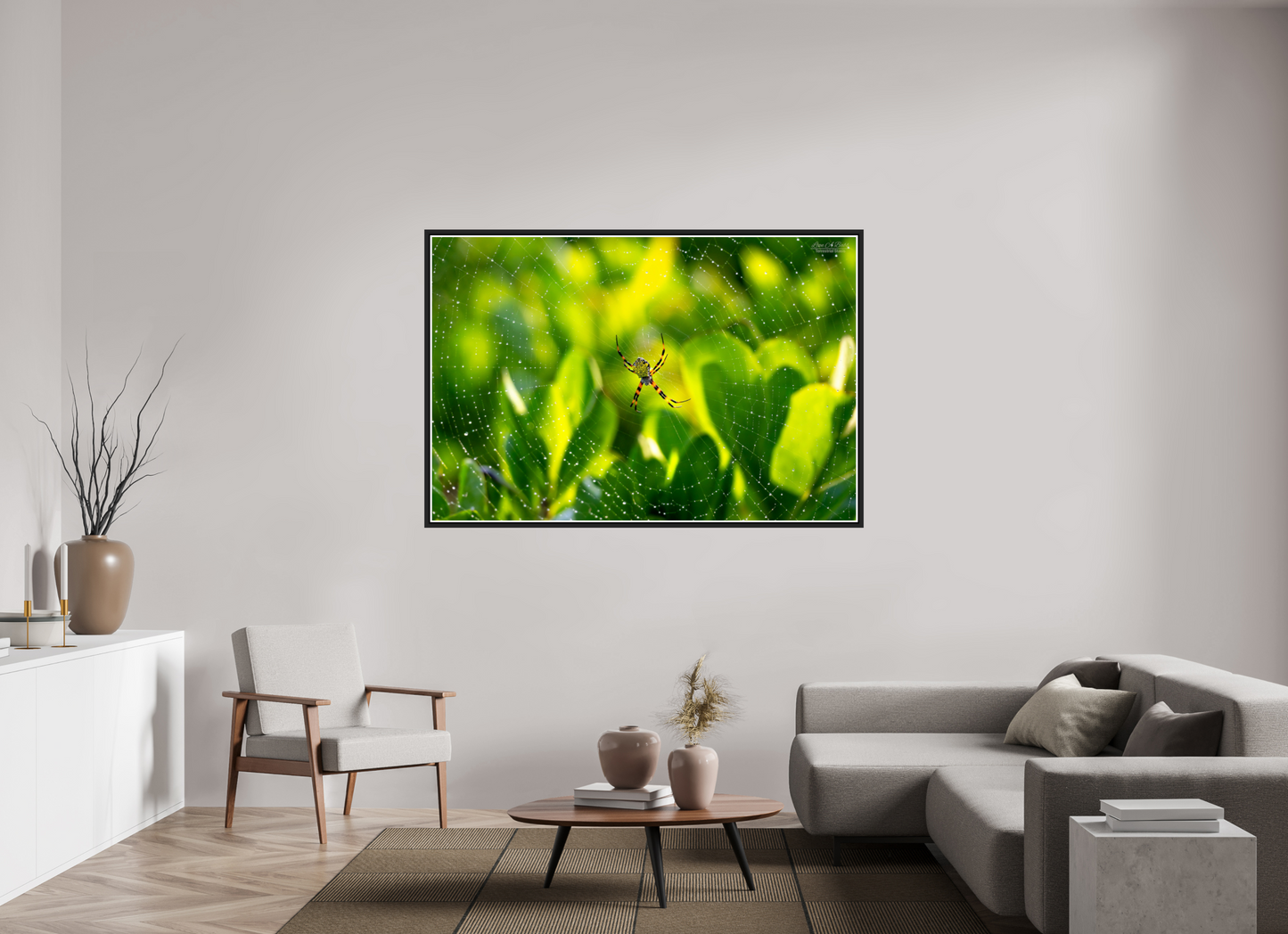66 x 44″, Black Matte Floater Frame with Acrylic Glass (09C) Hawaiian Garden Spider