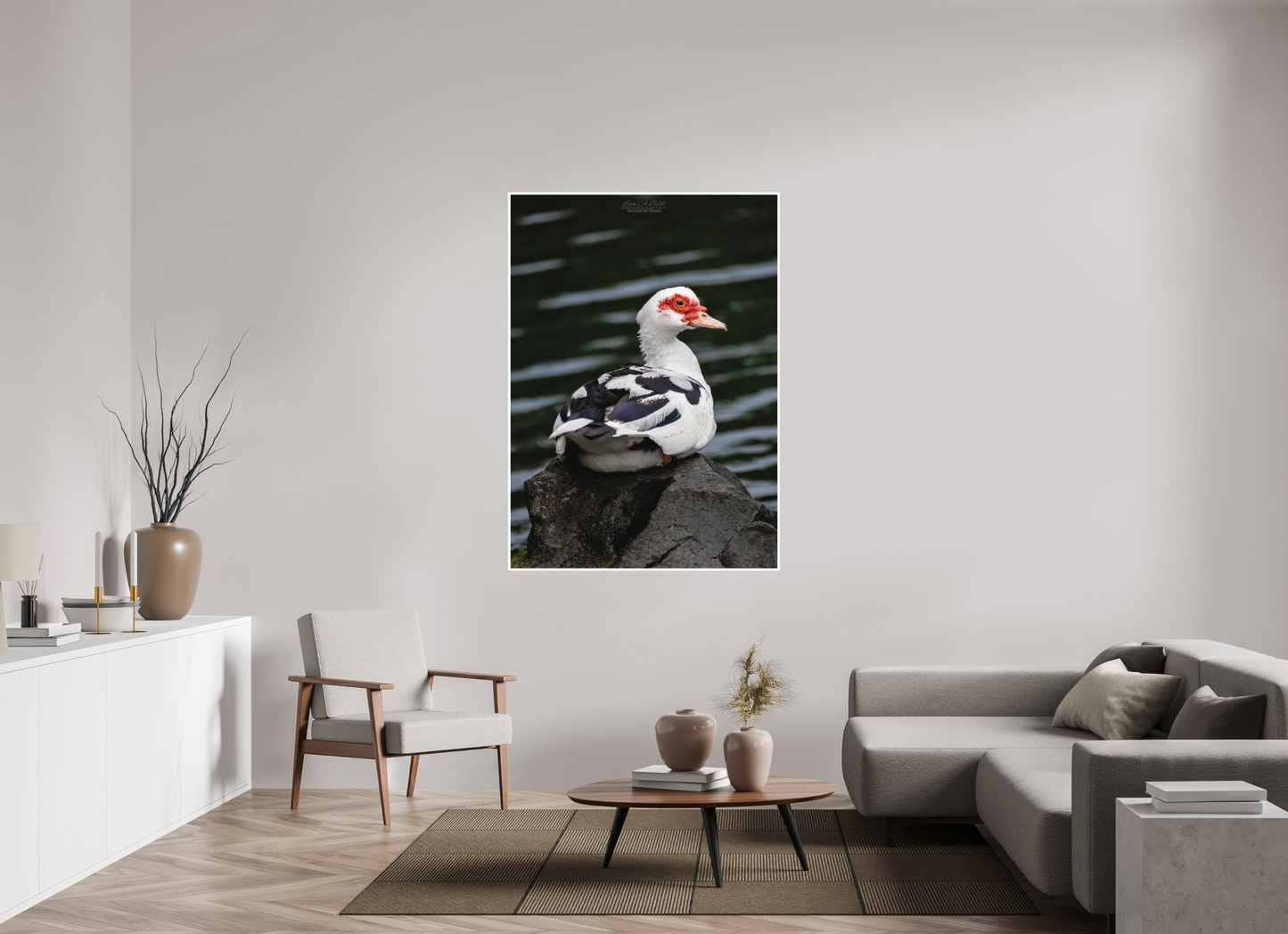 43 x 60.2″, Print with Matte Lamination (08T) Female Muscovy Duck Portrait