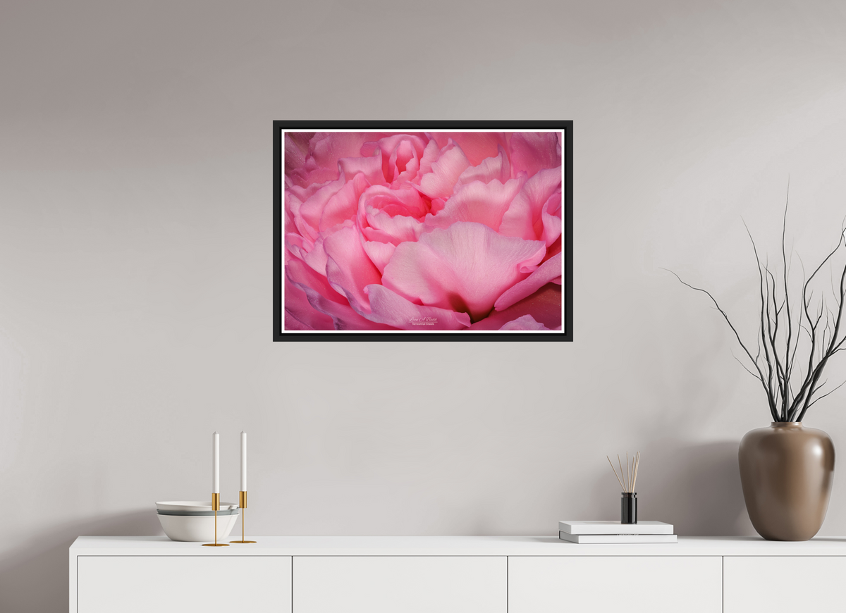 28 x 20″, Black Matte Floater Frame with Acrylic Glass Radiant Pink Petals