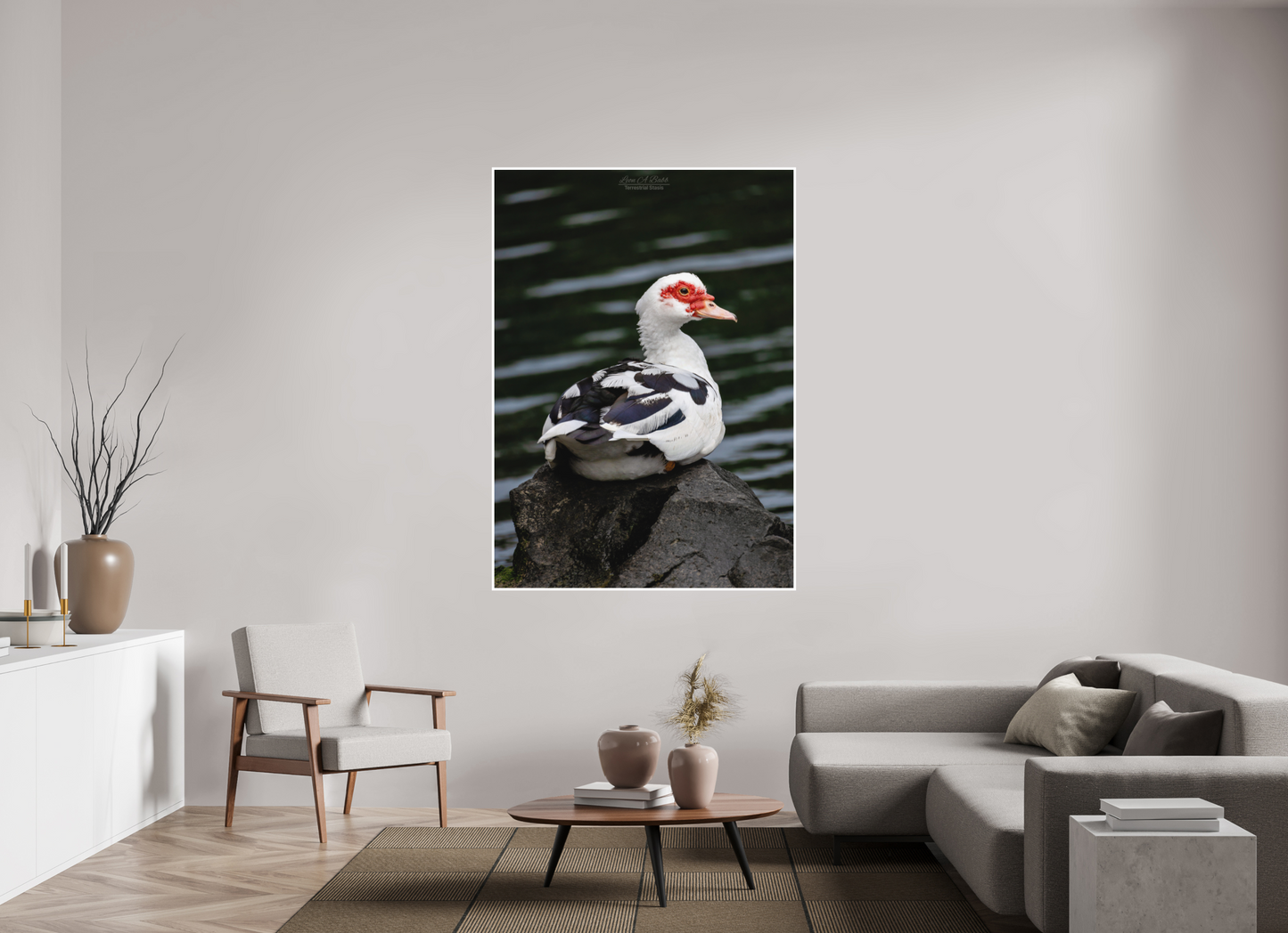 47 x 65.8″, Print with Matte Lamination (08T) Female Muscovy Duck Portrait