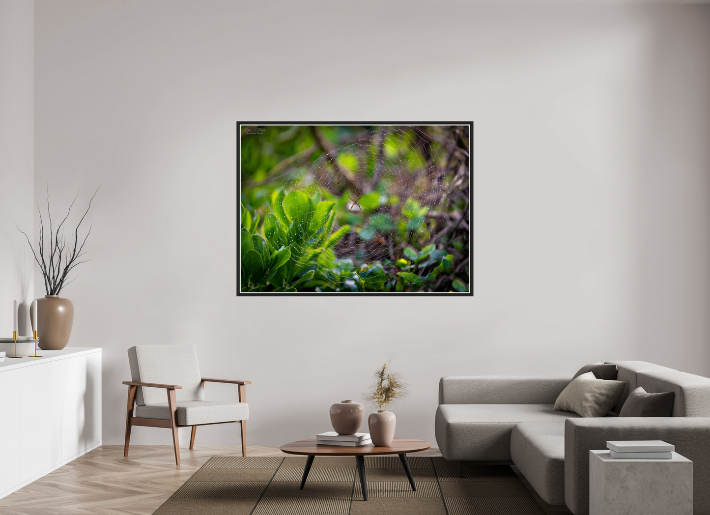 64.5 x 47″, Black Matte Floater Frame with Acrylic Glass Hawaiian Garden Spider Web