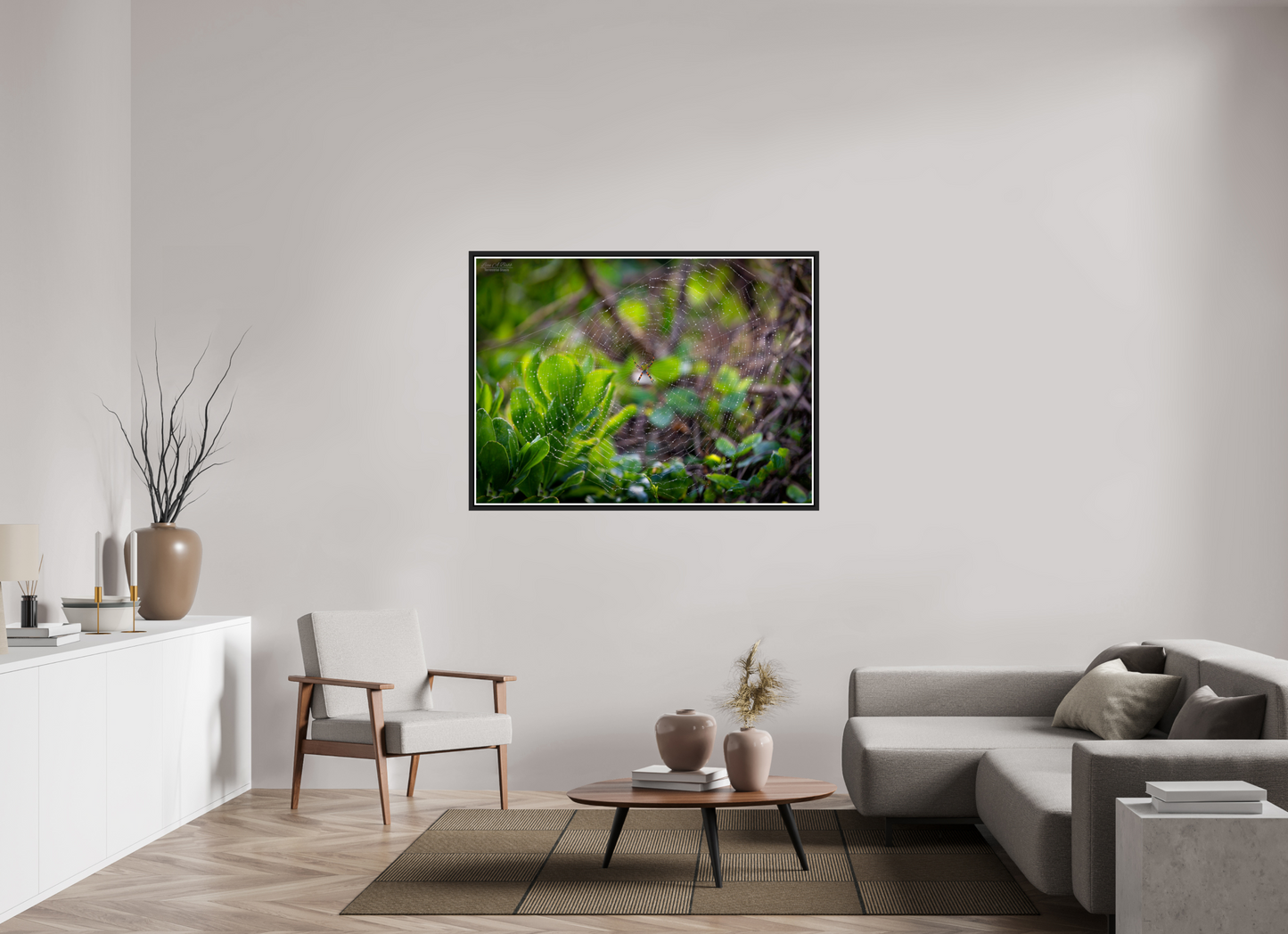 53.5 x 39″, Black Matte Floater Frame with Acrylic Glass Hawaiian Garden Spider Web