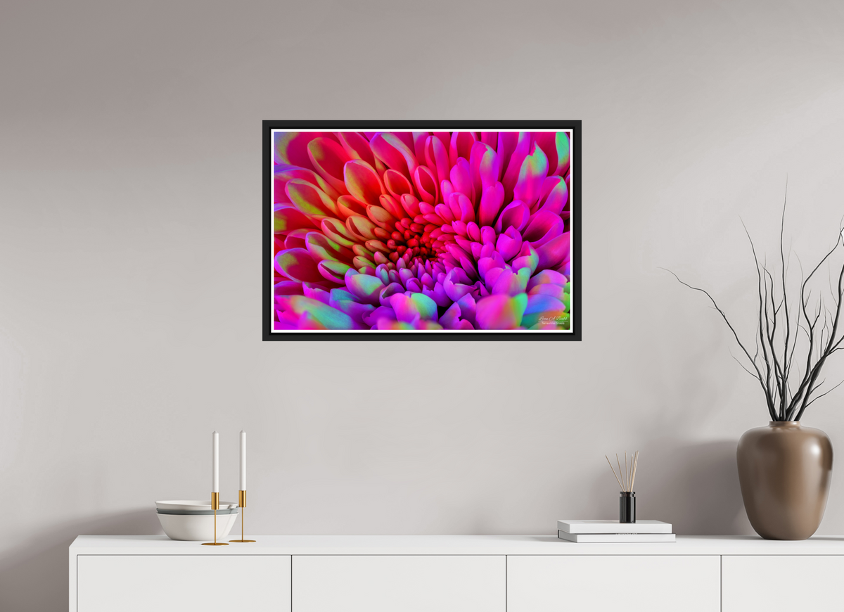 30 x 20″, Black Matte Floater Frame with Acrylic Glass ????