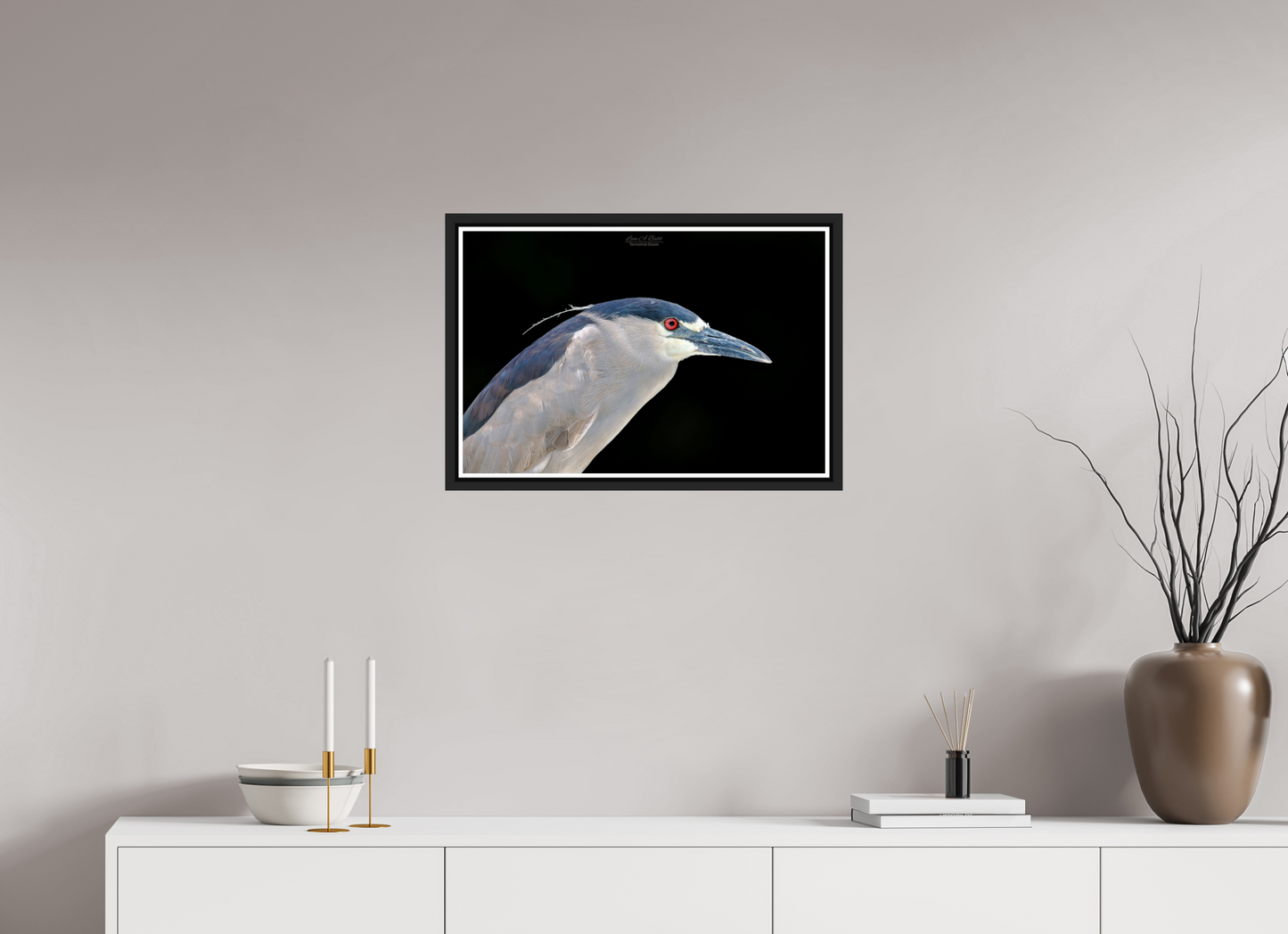 24 x 16″, Black Matte Floater Frame with Acrylic Glass (08B) Black-crowned Night Heron