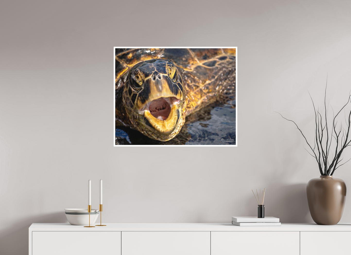 30 x 24″, Print with Matte Lamination (000) Honu’s Serenade