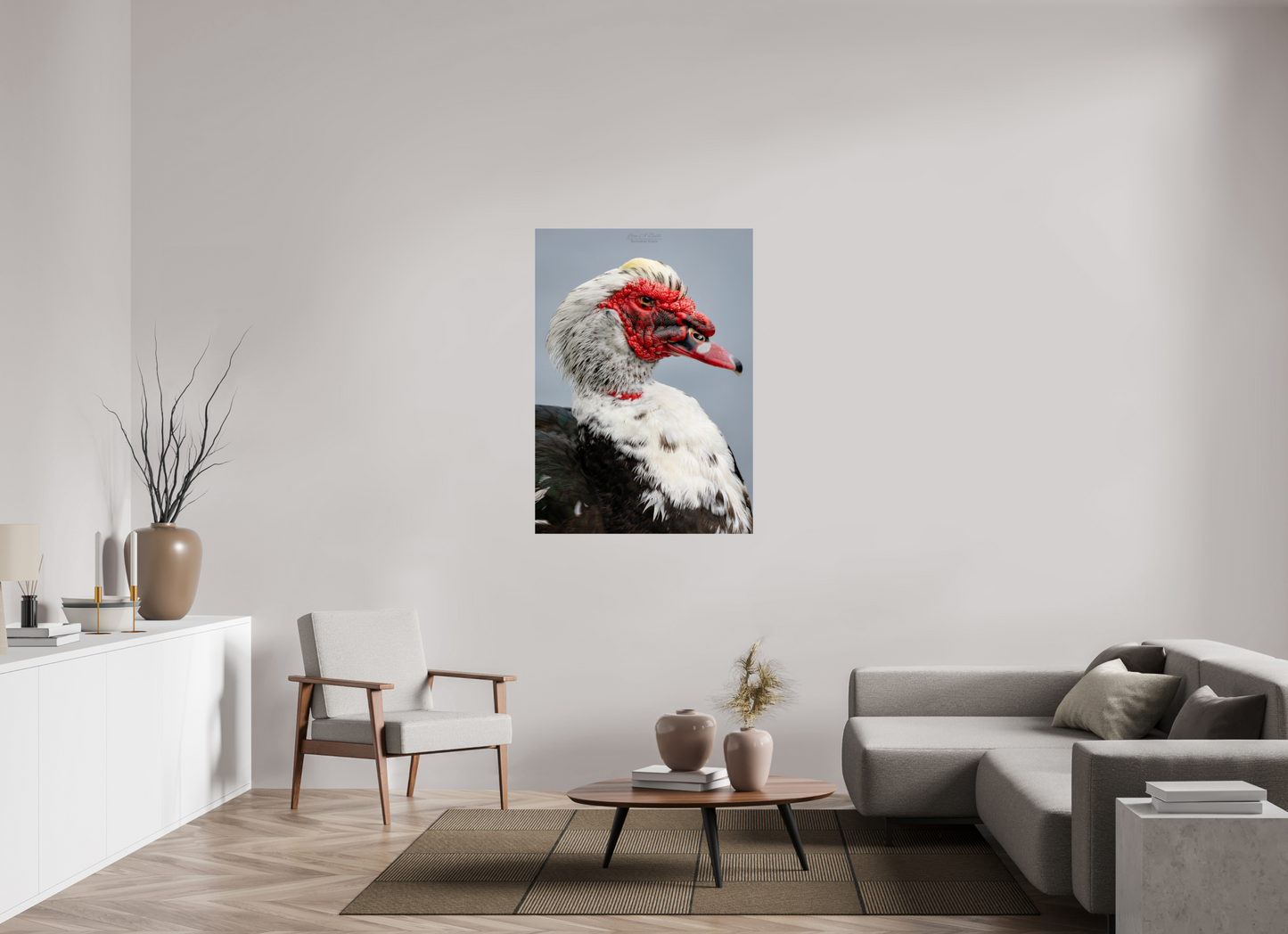 35 x 49″, Print with Aluminum Backing and Glossy Lamination (08S) Male Muscovy Duck Portrait