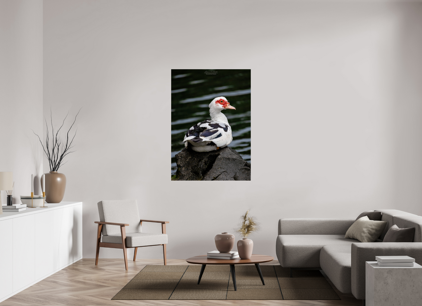 39 x 54.6″, Print with Aluminum Backing and Glossy Lamination (08T) Female Muscovy Duck Portrait