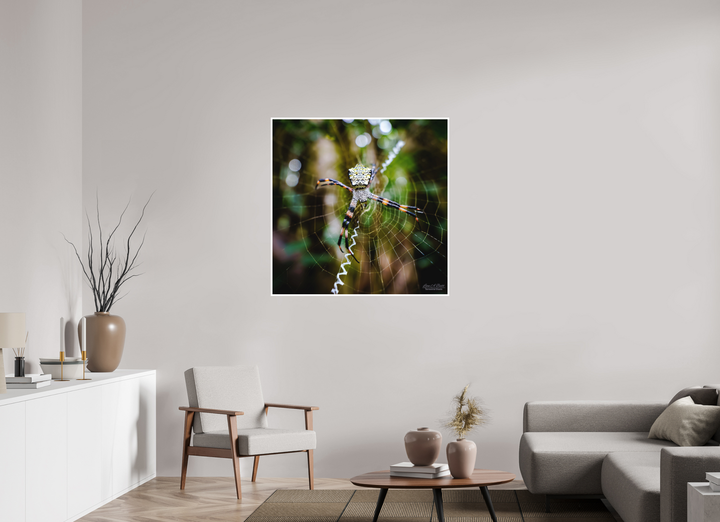 40 x 40″, Photo Print with Matte Lamination (09A) Spider on the trail
