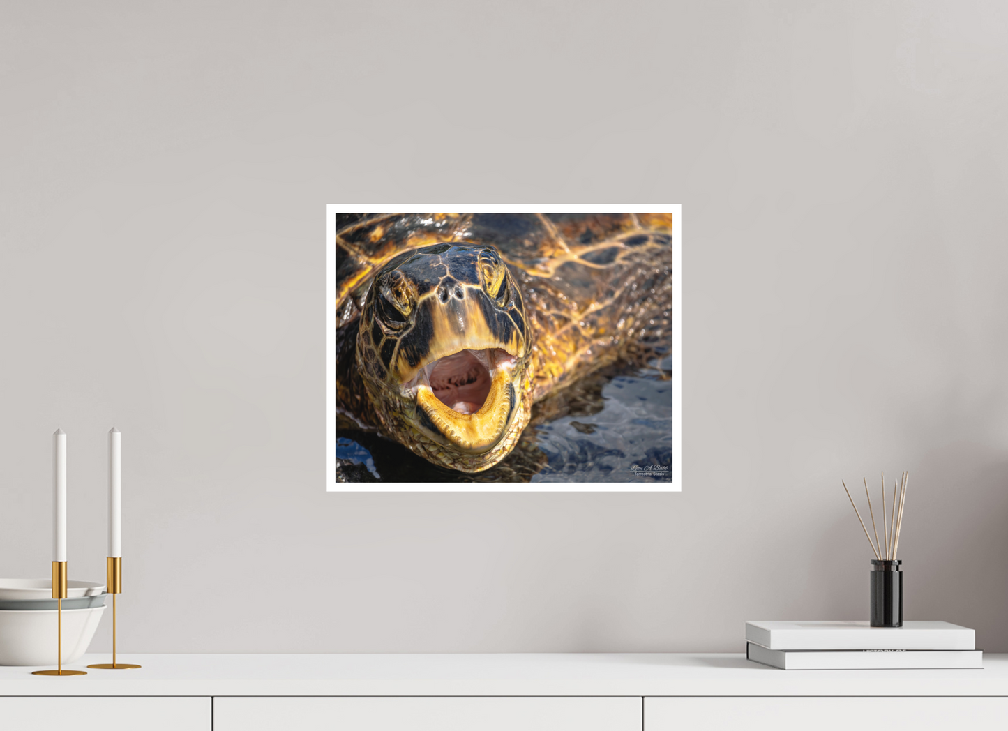 15 x 12″, Print with Matte Lamination (000) Honu’s Serenade