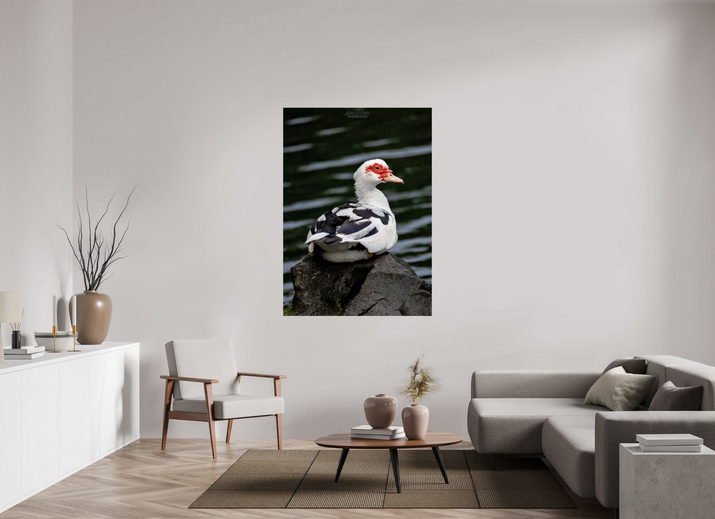 43 x 60.2″, Print with Aluminum Backing and Glossy Lamination (08T) Female Muscovy Duck Portrait