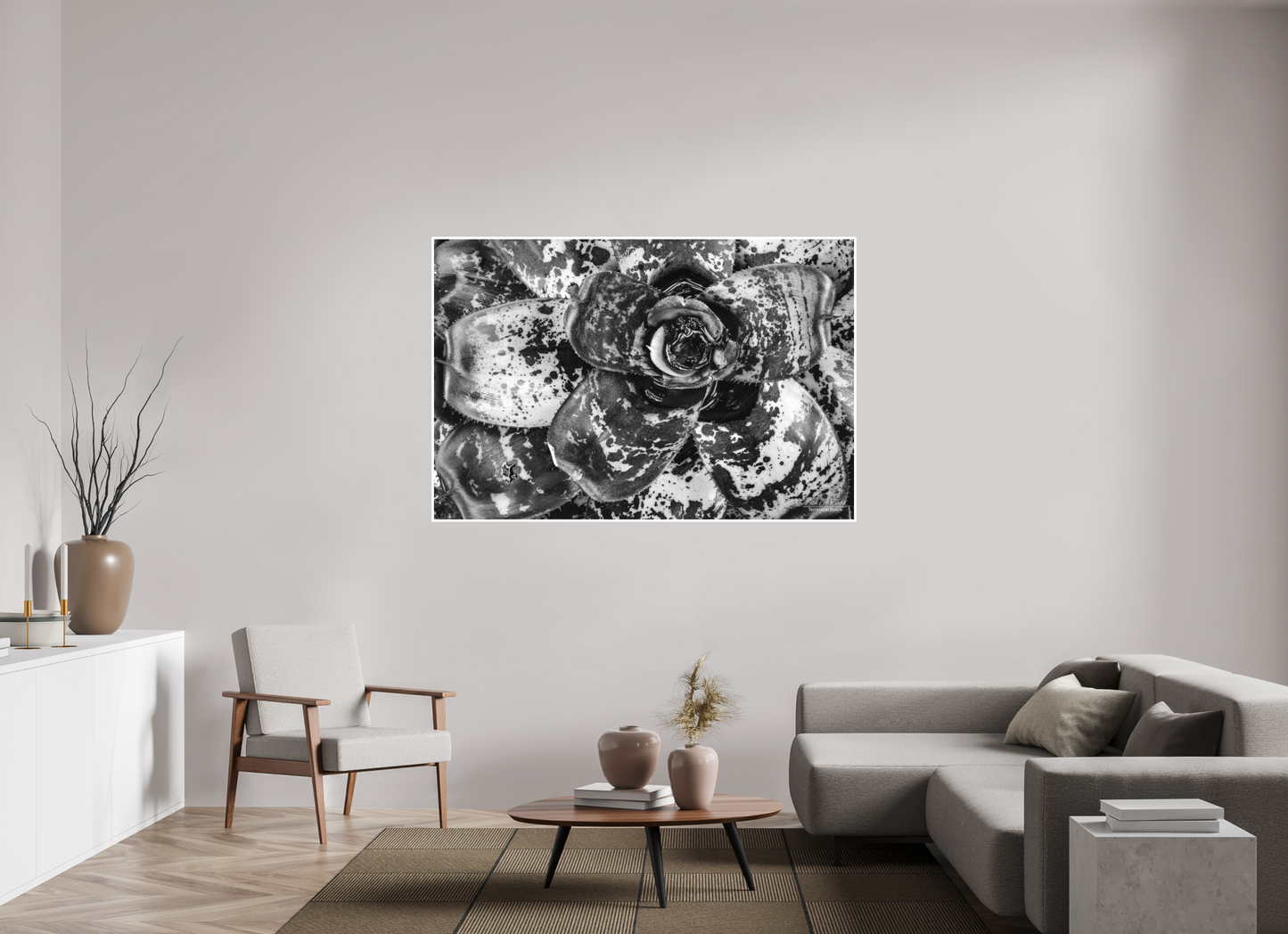 66 x 44″, Photo Print with Matte Lamination (07C) BnW Plant