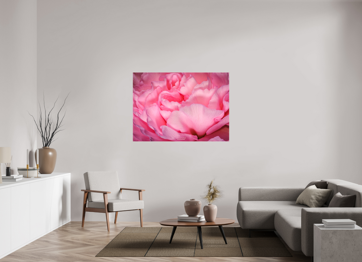 54.6 x 39″, Glossy Canvas Stretcher Frame with Mirrored Edges Radiant Pink Petals