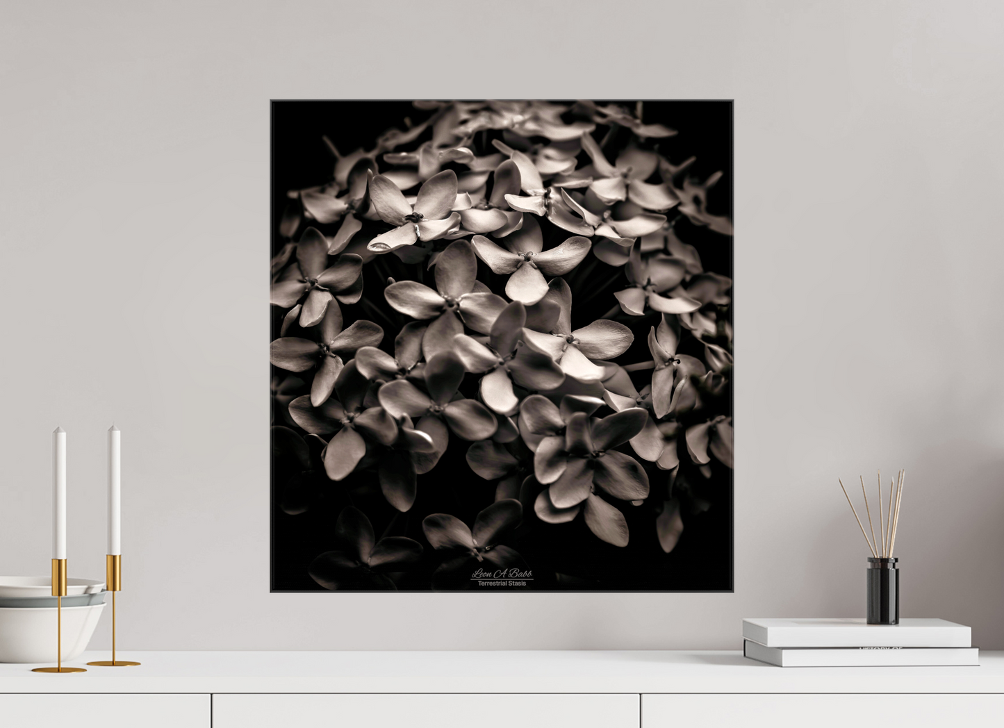 (07D) Monochrome Garden