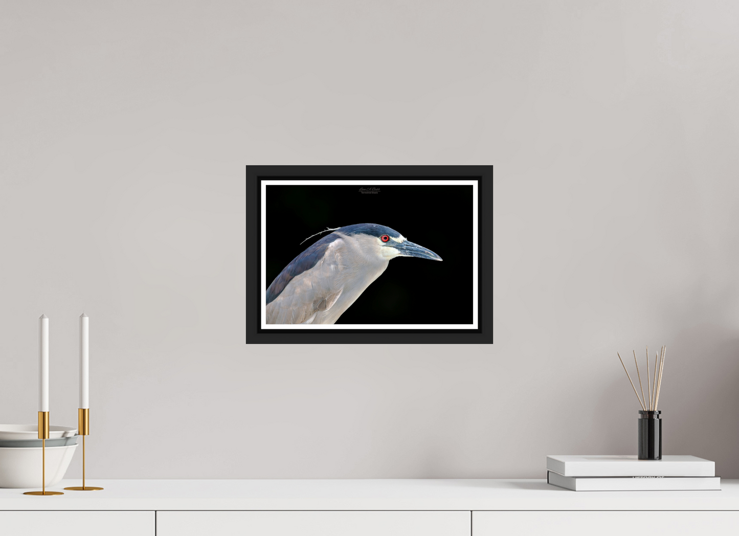 12 x 8″, Black Matte Floater Frame with Acrylic Glass (08B) Black-crowned Night Heron