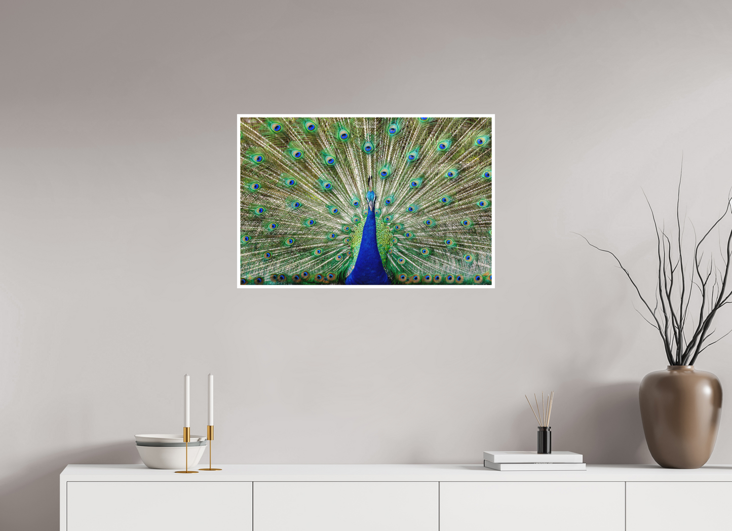 30 x 20″, Photo Print with Matte Lamination (08C) Peacock Display