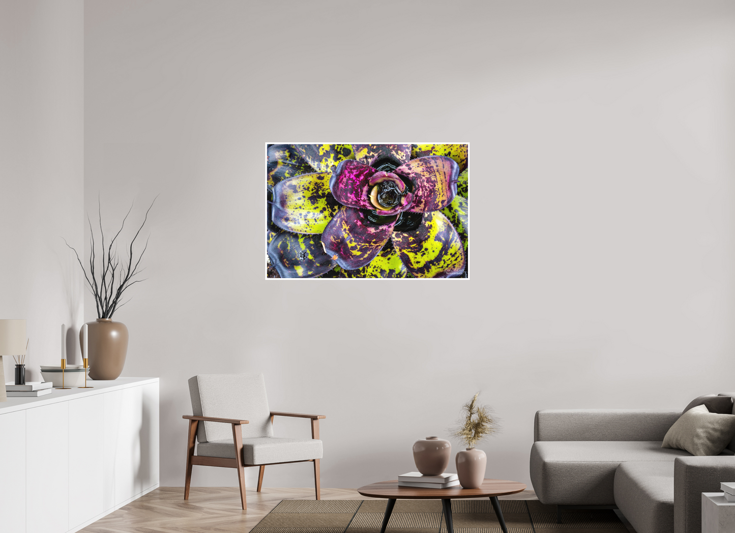 45 x 30″, Photo Print with Matte Lamination (07B) Colorful Plant