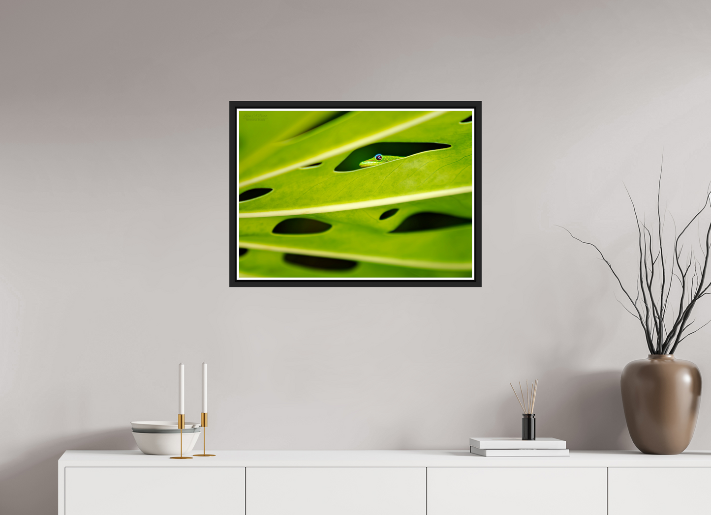 28 x 20″, Black Matte Floater Frame with Acrylic Glass (08E) Hidden Gecko