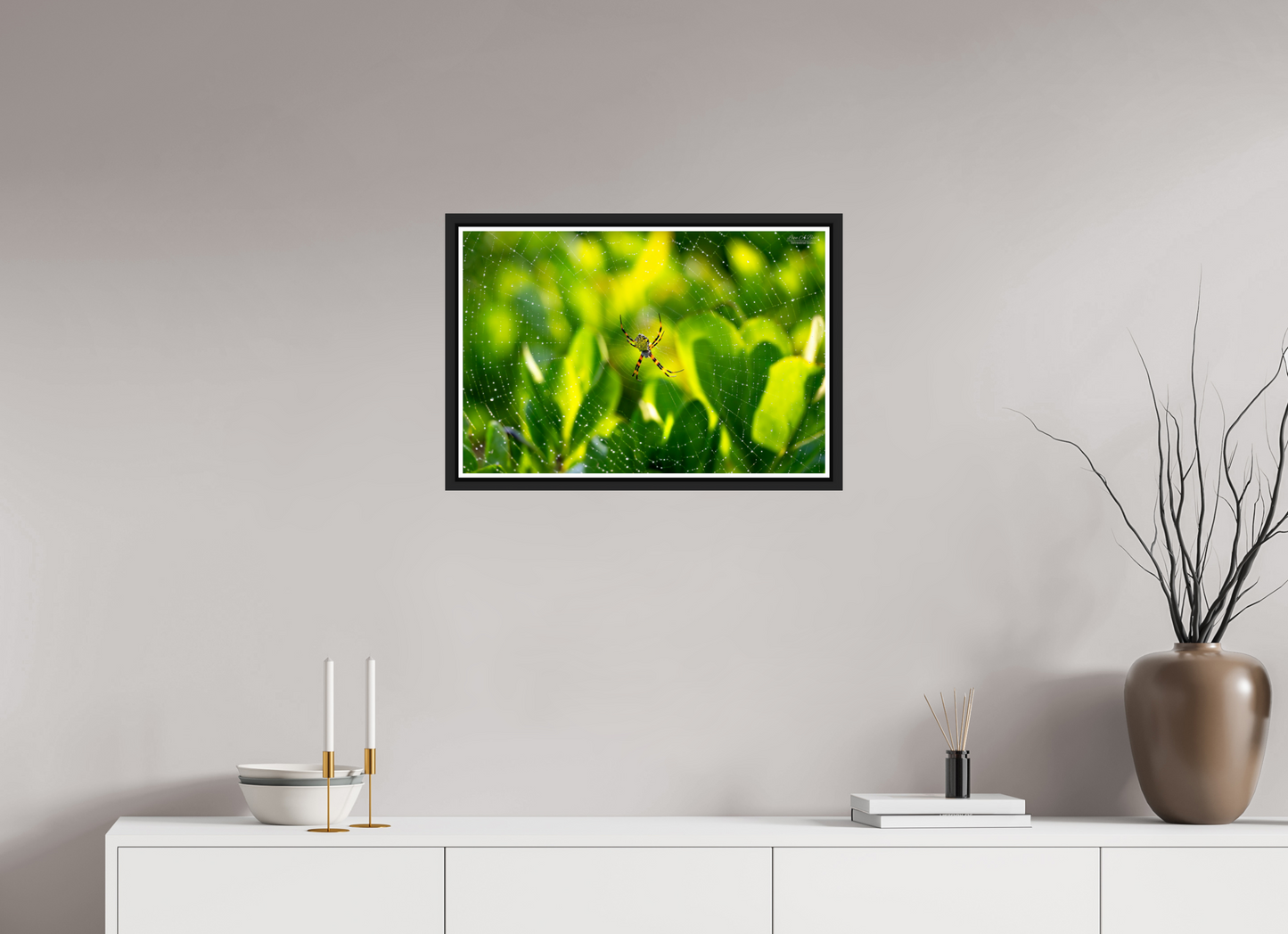 24 x 16″, Black Matte Floater Frame with Acrylic Glass (09C) Hawaiian Garden Spider