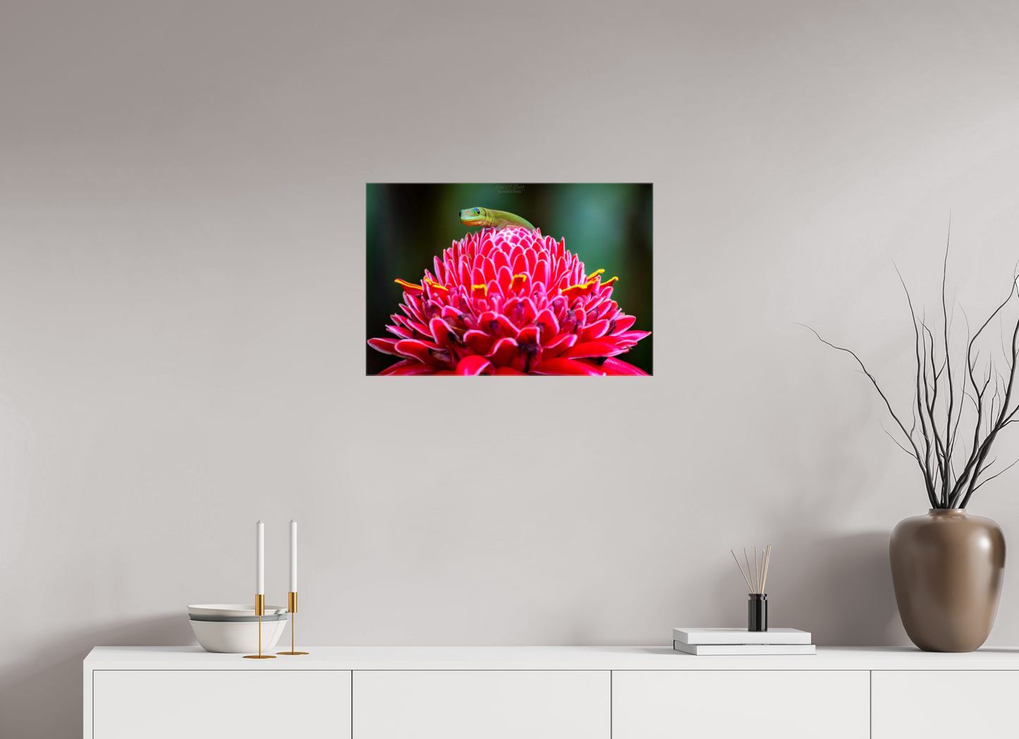 (08F) Gecko on a flower