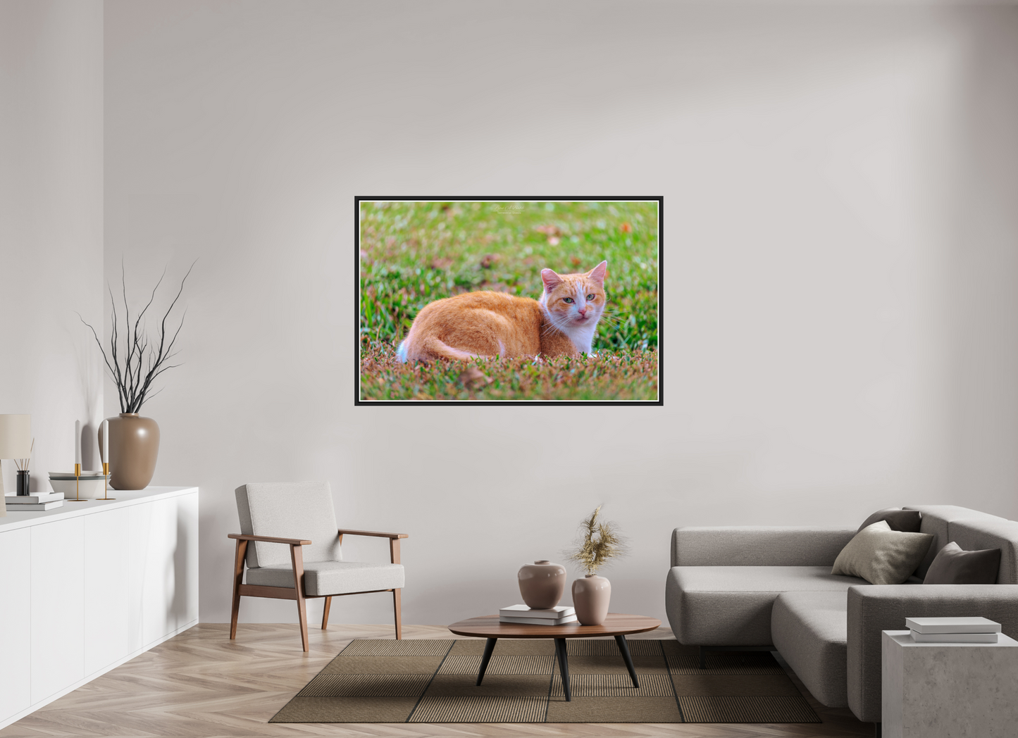 60 x 40″, Black Matte Floater Frame with Acrylic Glass (08H) Hawaii Strays in Color