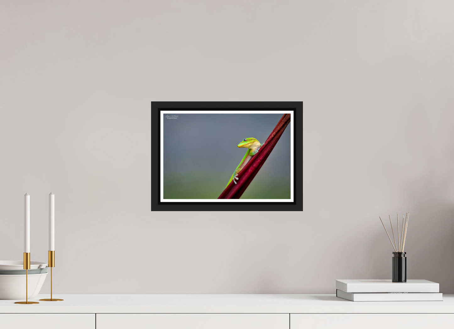 12 x 8″, Black Matte Floater Frame with Acrylic Glass (08Q) Quiet Gaze