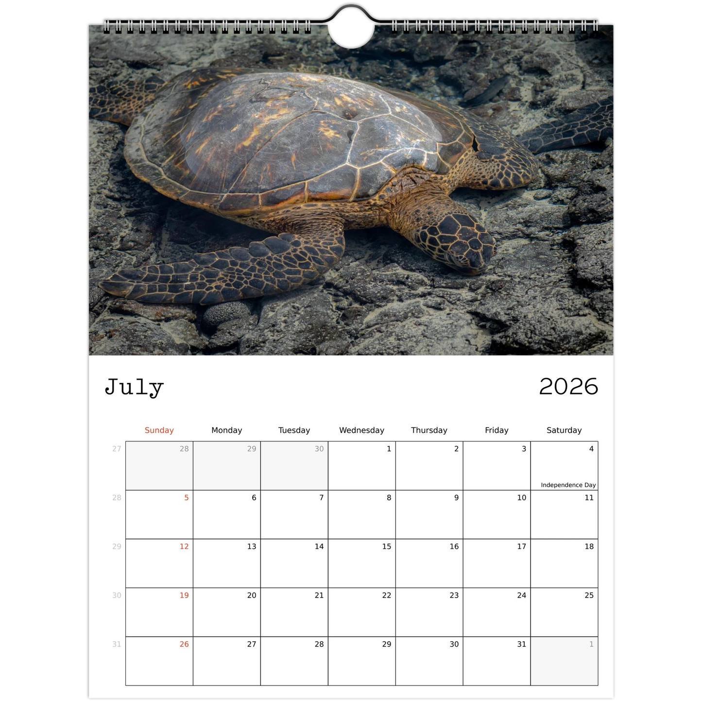 e965cf3f-2540-41d1-b821-38dc7ab9189b