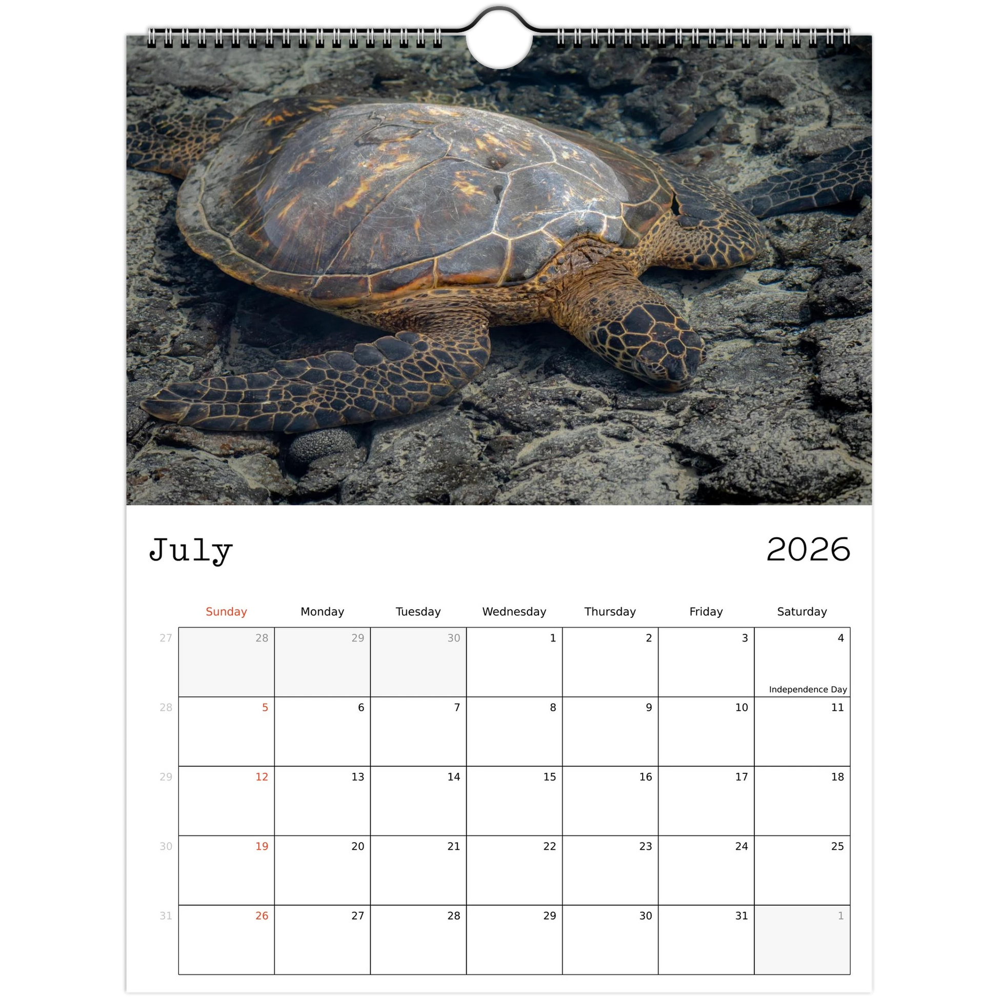 e965cf3f-2540-41d1-b821-38dc7ab9189b