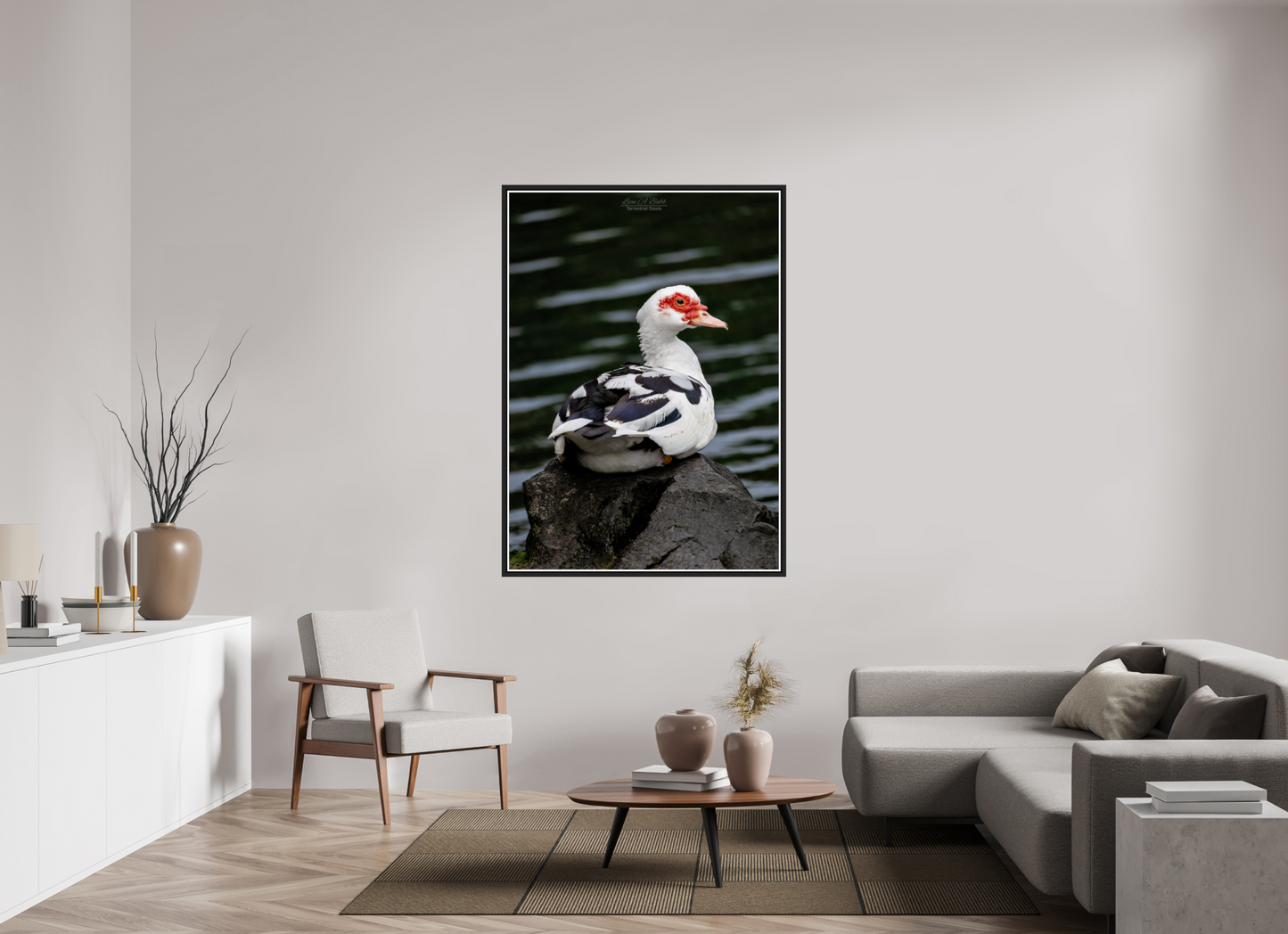 43 x 60.2″, Black Matte Floater Frame with Acrylic Glass (08T) Female Muscovy Duck Portrait