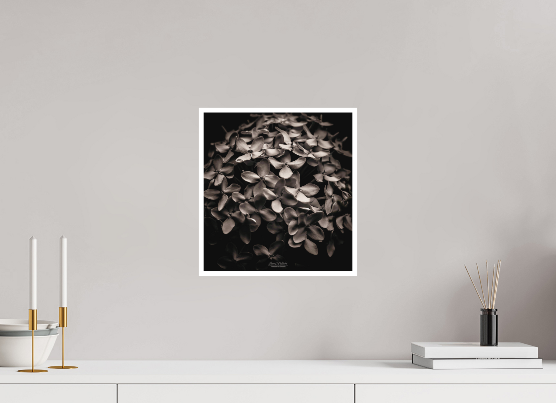 12 x 12.8″, Photo Print with Matte Lamination (07D) Monochrome Garden
