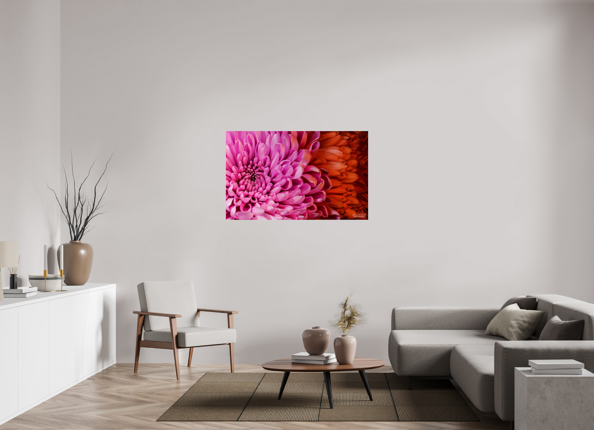 49.6 x 31″, Photo Print Under Acrylic Glass ??