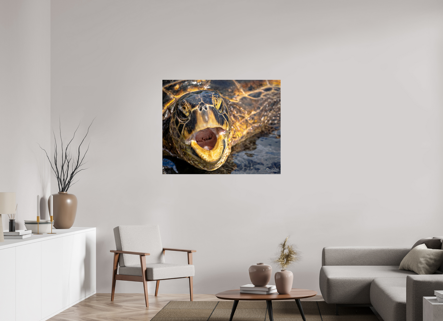 43.7 x 35″, Photo Print Under Acrylic Glass (000) Honu’s Serenade
