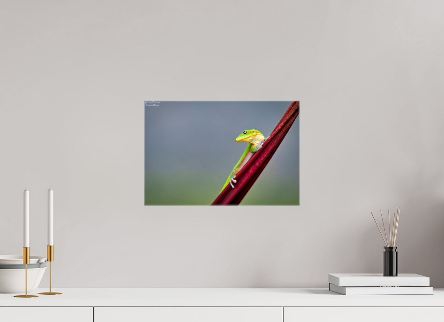 15 x 10″, Glossy Canvas Stretcher Frame with Mirrored Edges (08Q) Quiet Gaze