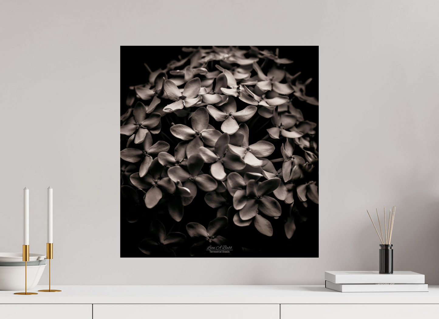 (07D) Monochrome Garden