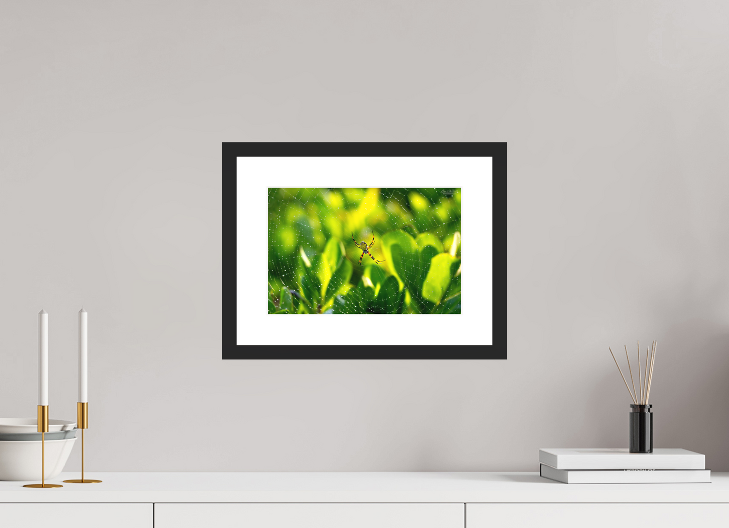 12 x 8″, Classic Black Matte Wood Frame (09C) Hawaiian Garden Spider