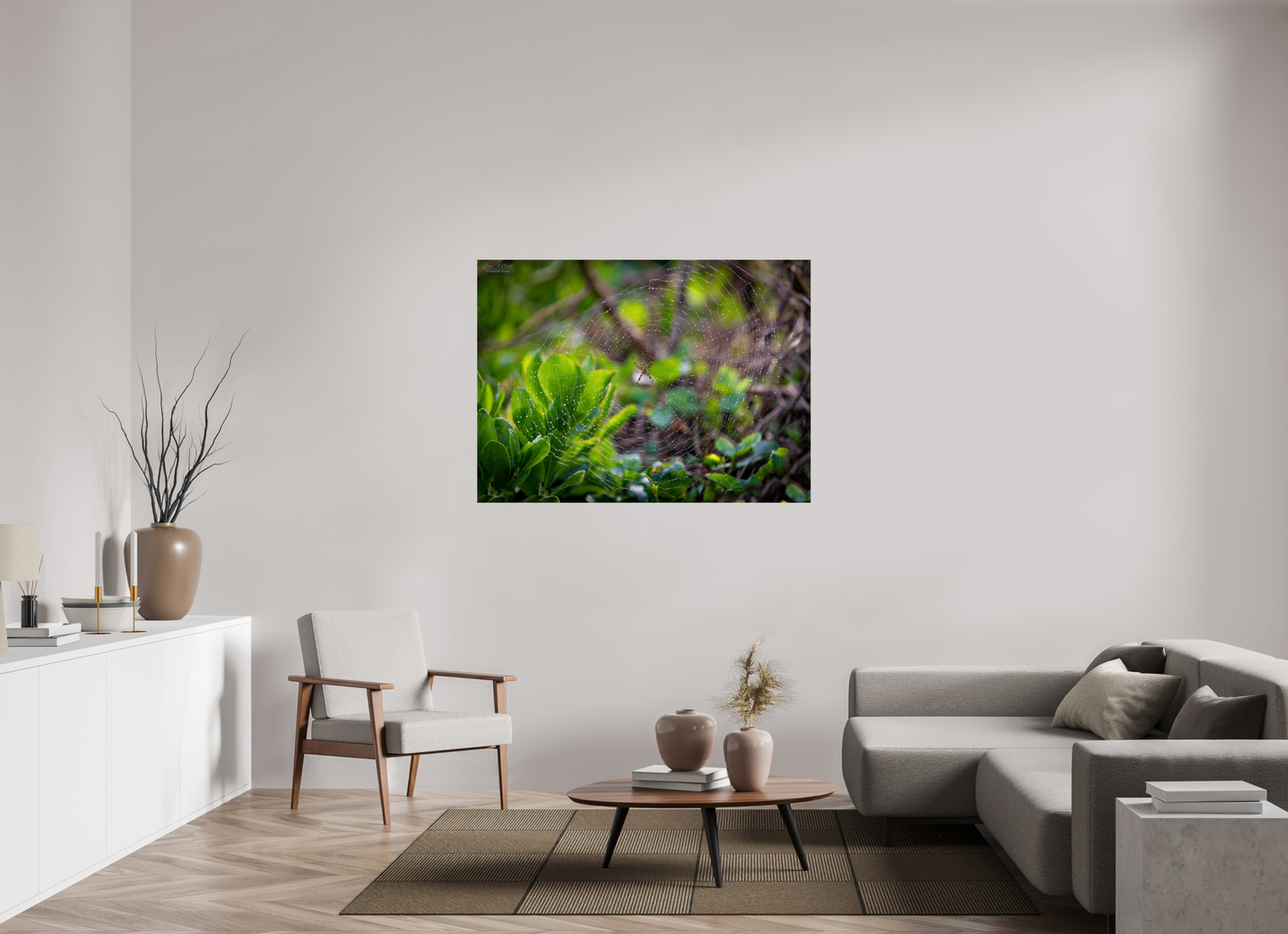 53.5 x 39″, Print with Aluminum Backing and Glossy Lamination Hawaiian Garden Spider Web