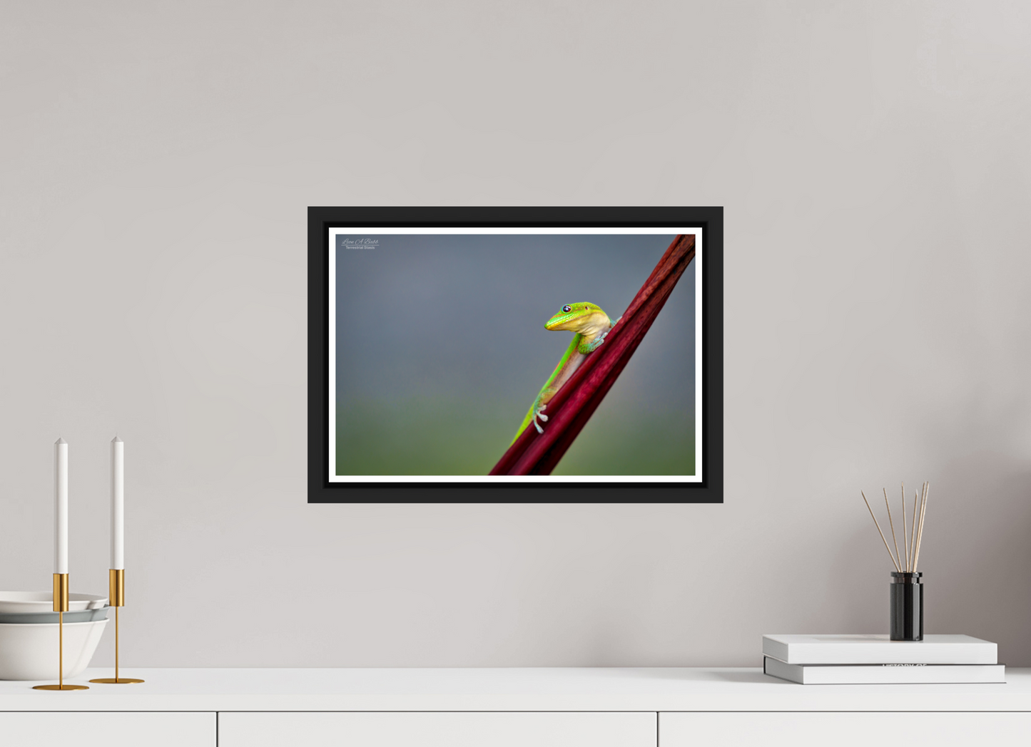 15 x 10″, Black Matte Floater Frame with Acrylic Glass (08Q) Quiet Gaze