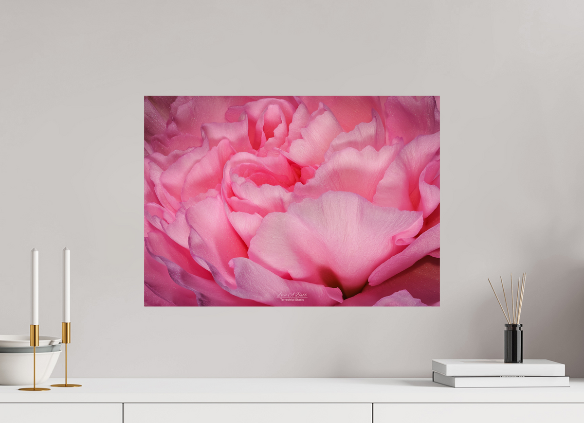 22.4 x 16″, Print with Aluminum Backing and Glossy Lamination Radiant Pink Petals