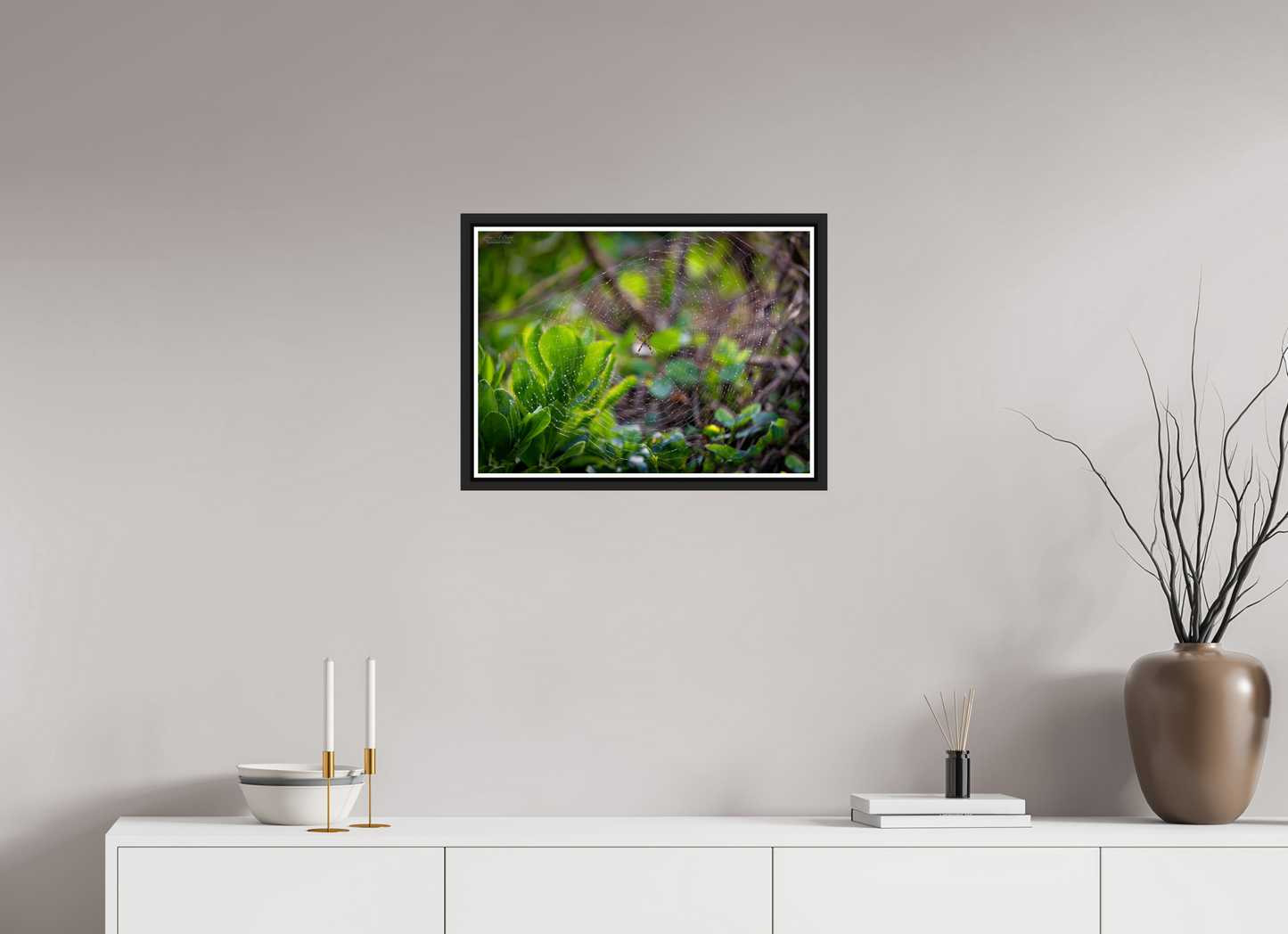 22 x 16″, Black Matte Floater Frame with Acrylic Glass Hawaiian Garden Spider Web