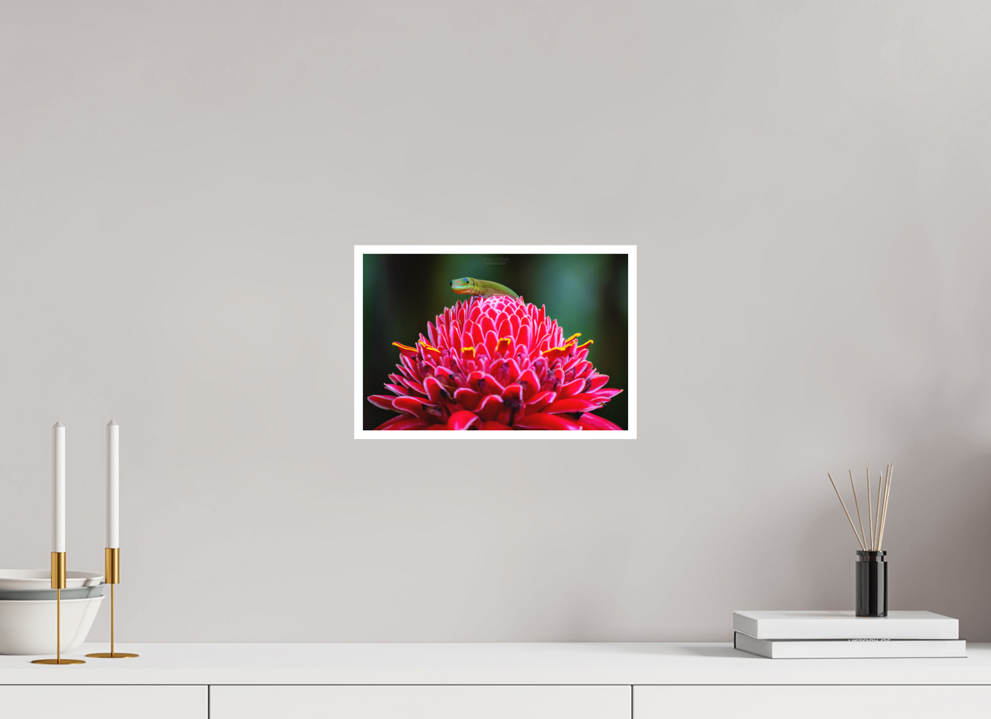 12 x 8″, Photo Print with Matte Lamination (08F) Gecko on a flower