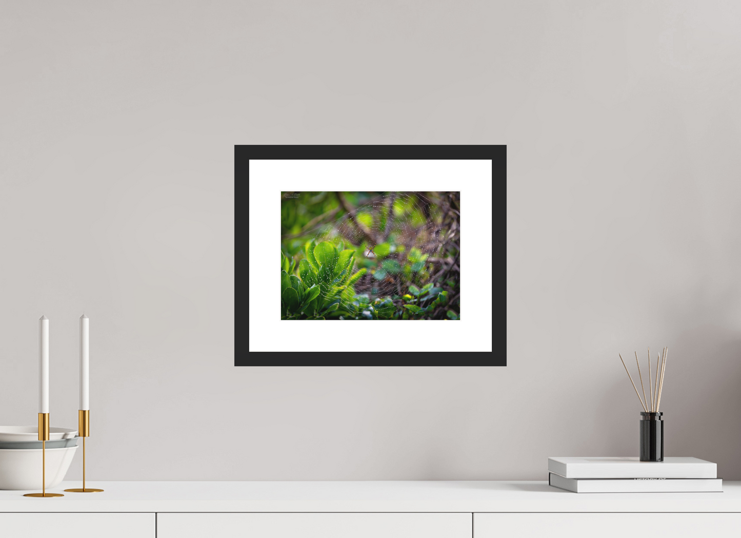 11 x 8″, Classic Black Matte Wood Frame Hawaiian Garden Spider Web