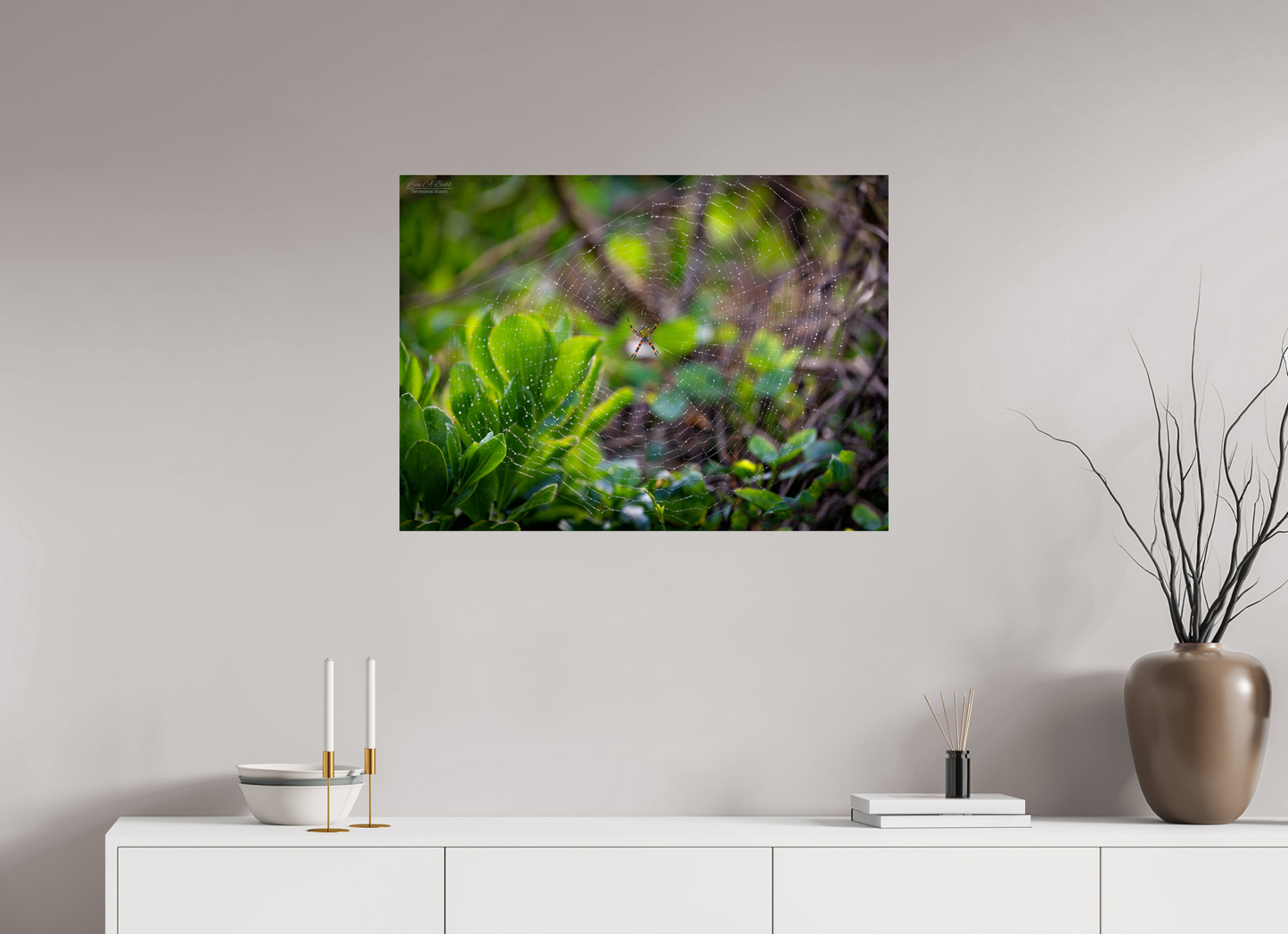 33 x 24″, Photo Print Under Acrylic Glass Hawaiian Garden Spider Web