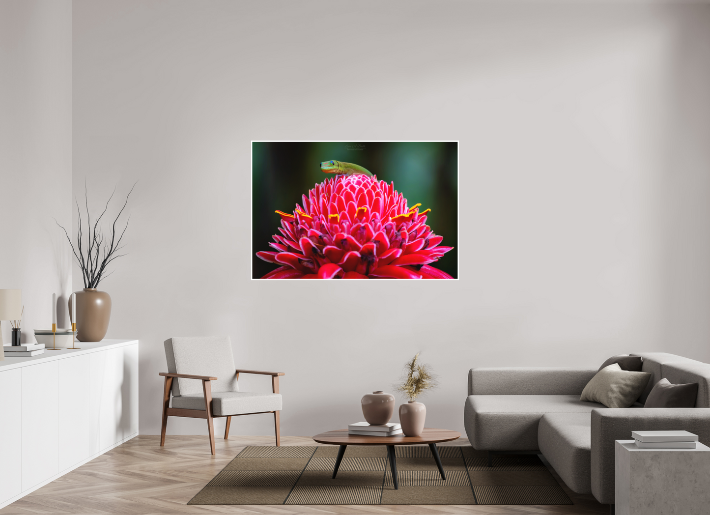 60 x 40″, Photo Print with Matte Lamination (08F) Gecko on a flower