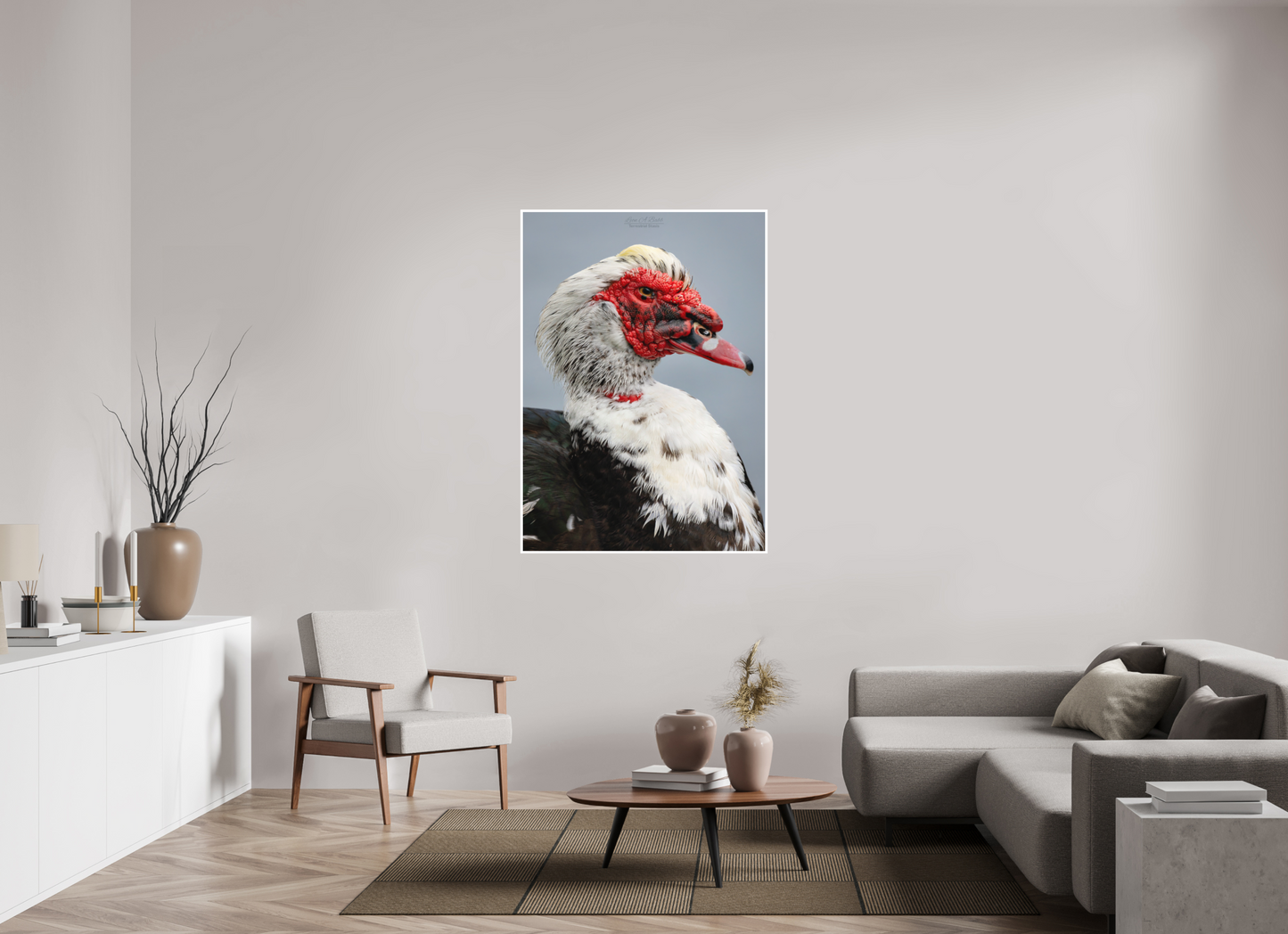 39 x 54.6″, Print with Matte Lamination (08S) Male Muscovy Duck Portrait