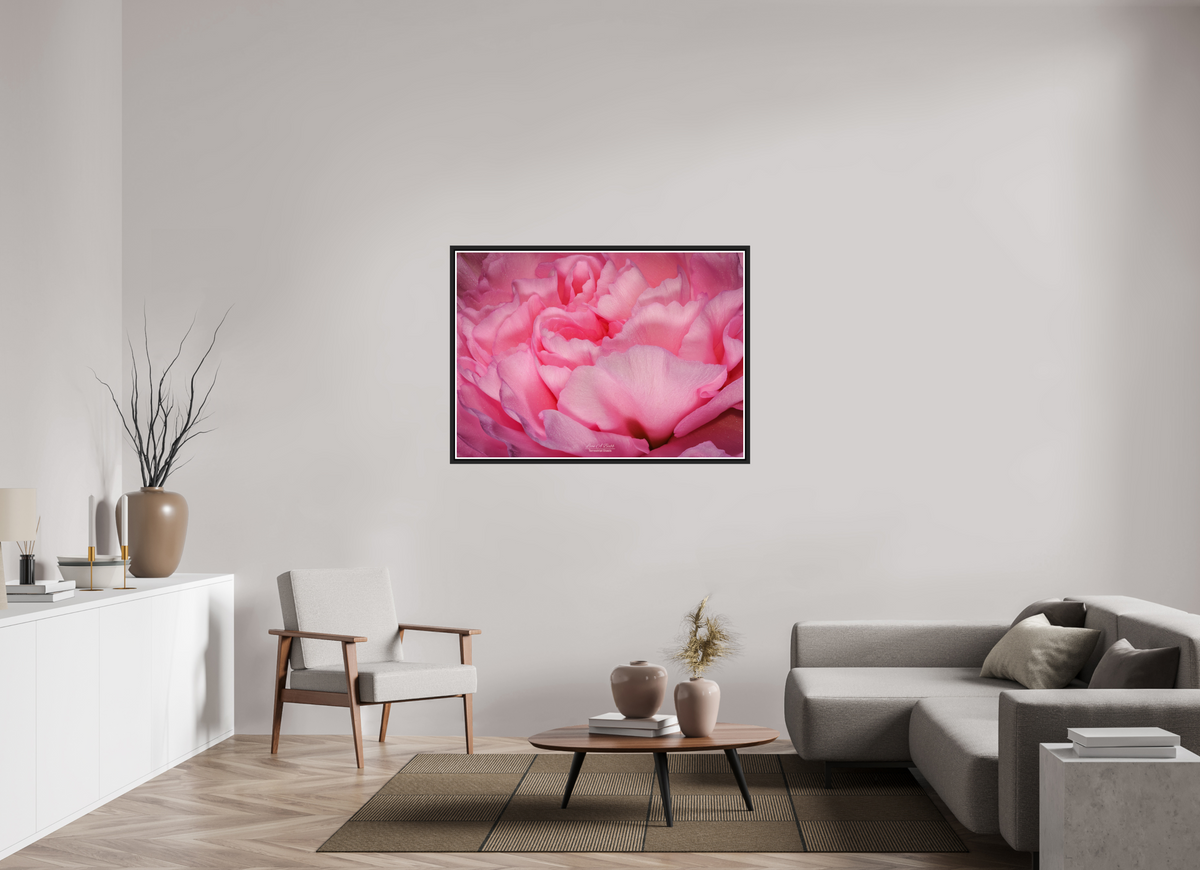 49 x 35″, Black Matte Floater Frame with Acrylic Glass Radiant Pink Petals